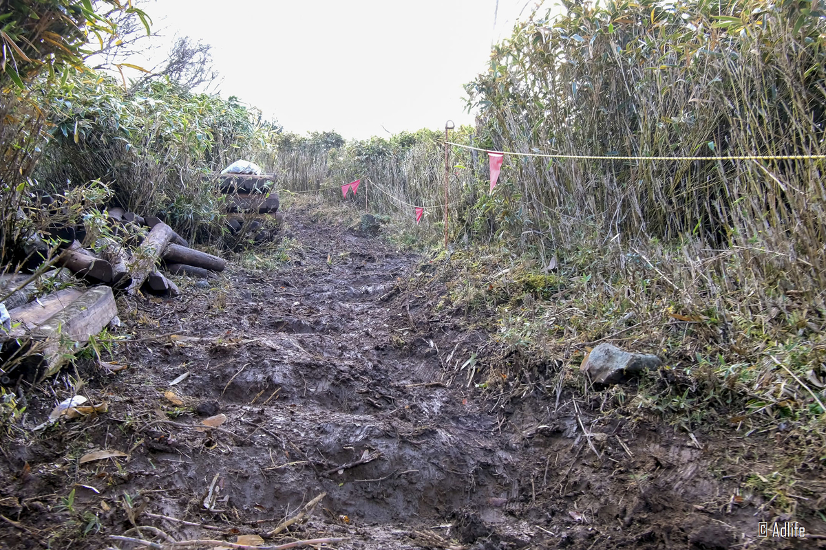 f:id:Adder:20210313180612j:plain