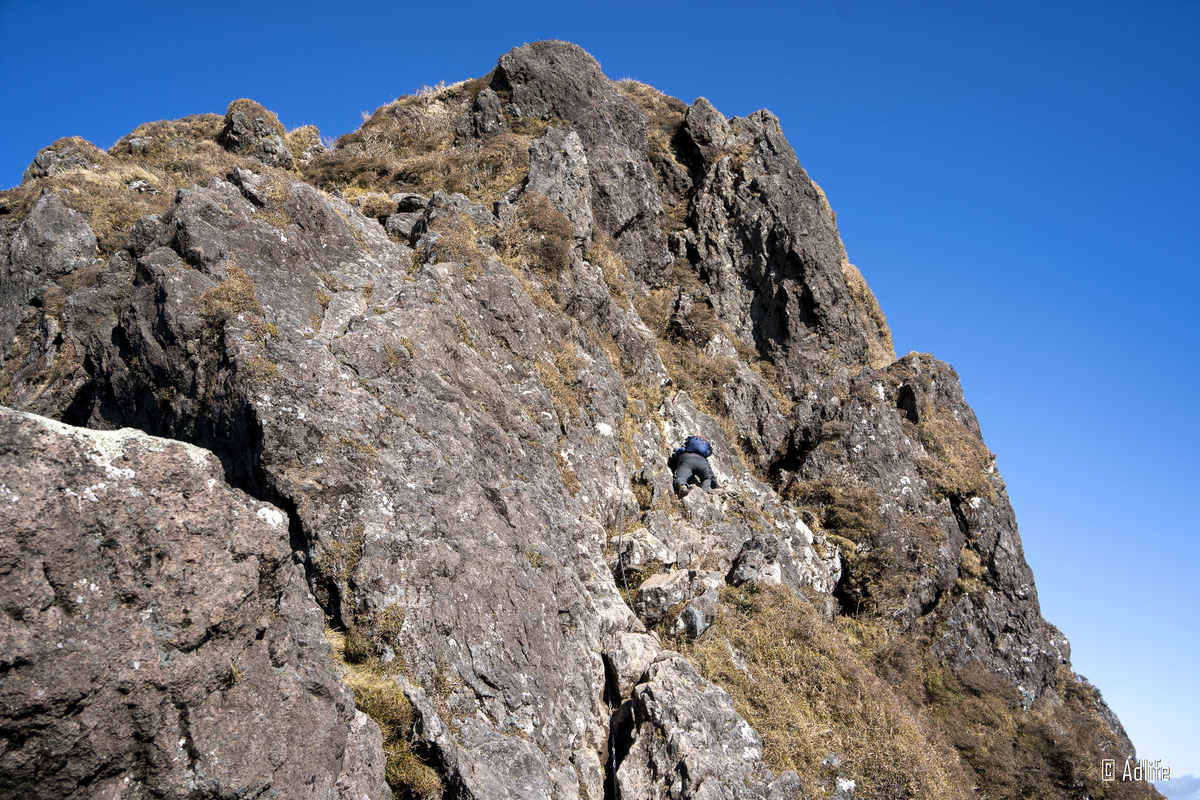 f:id:Adder:20210313181438j:plain