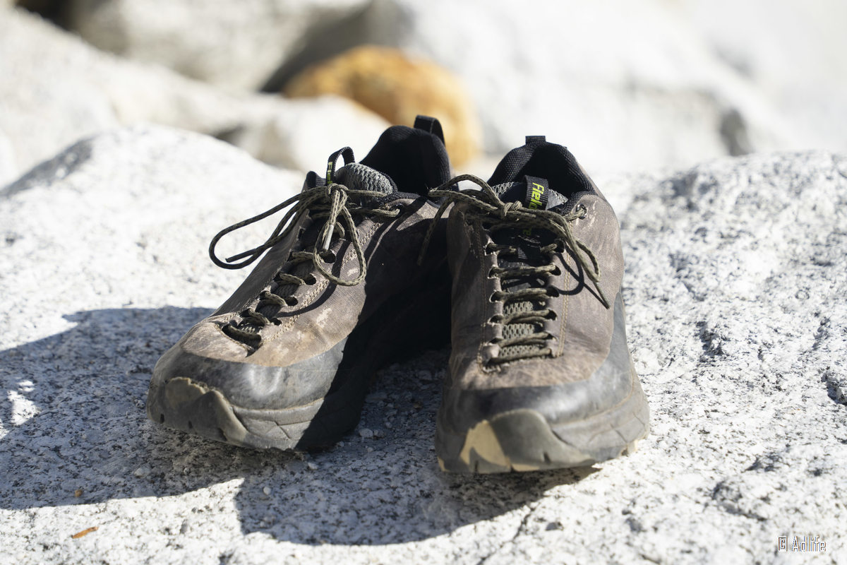 f:id:Adder:20210313182855j:plain