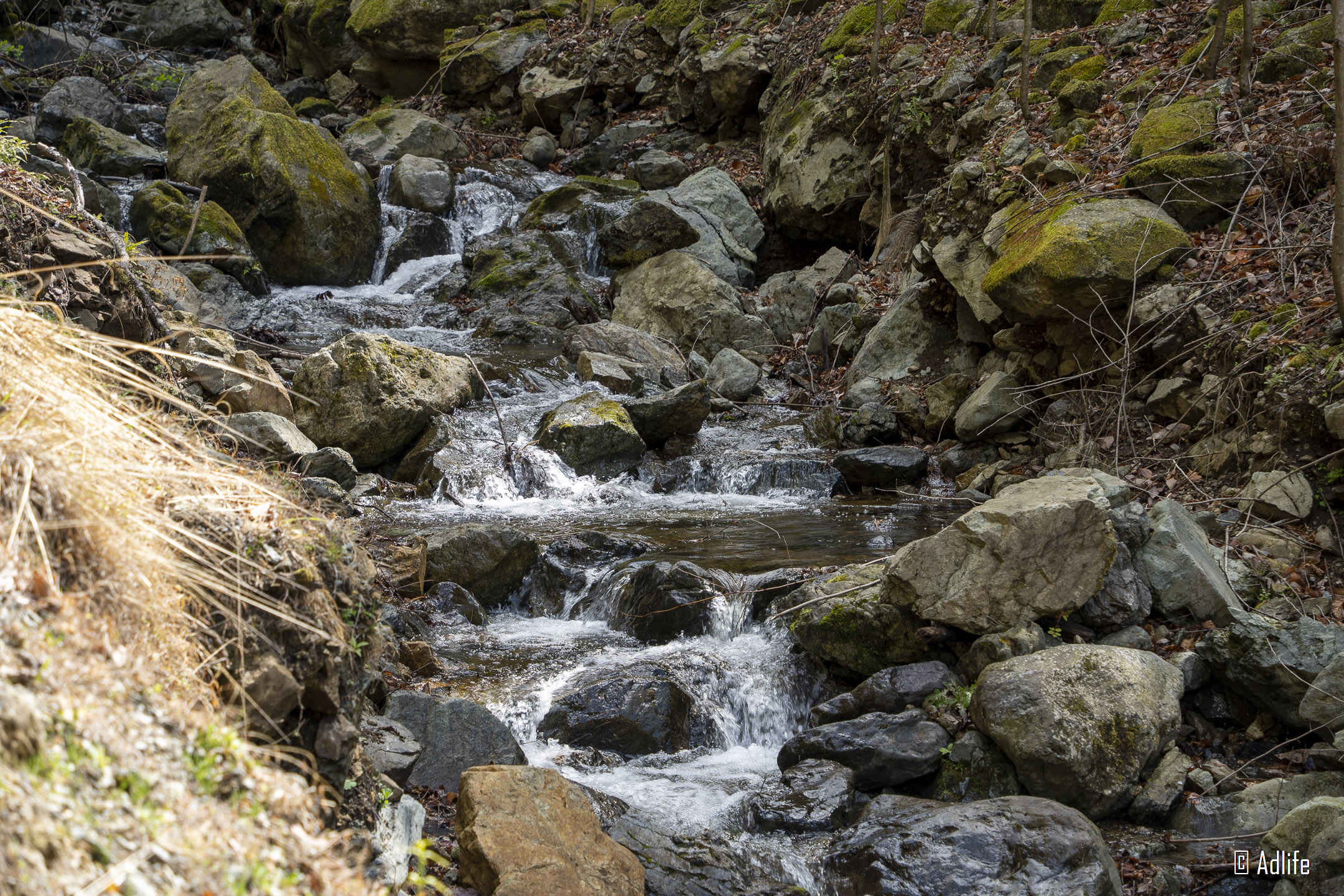 f:id:Adder:20210613100538j:plain