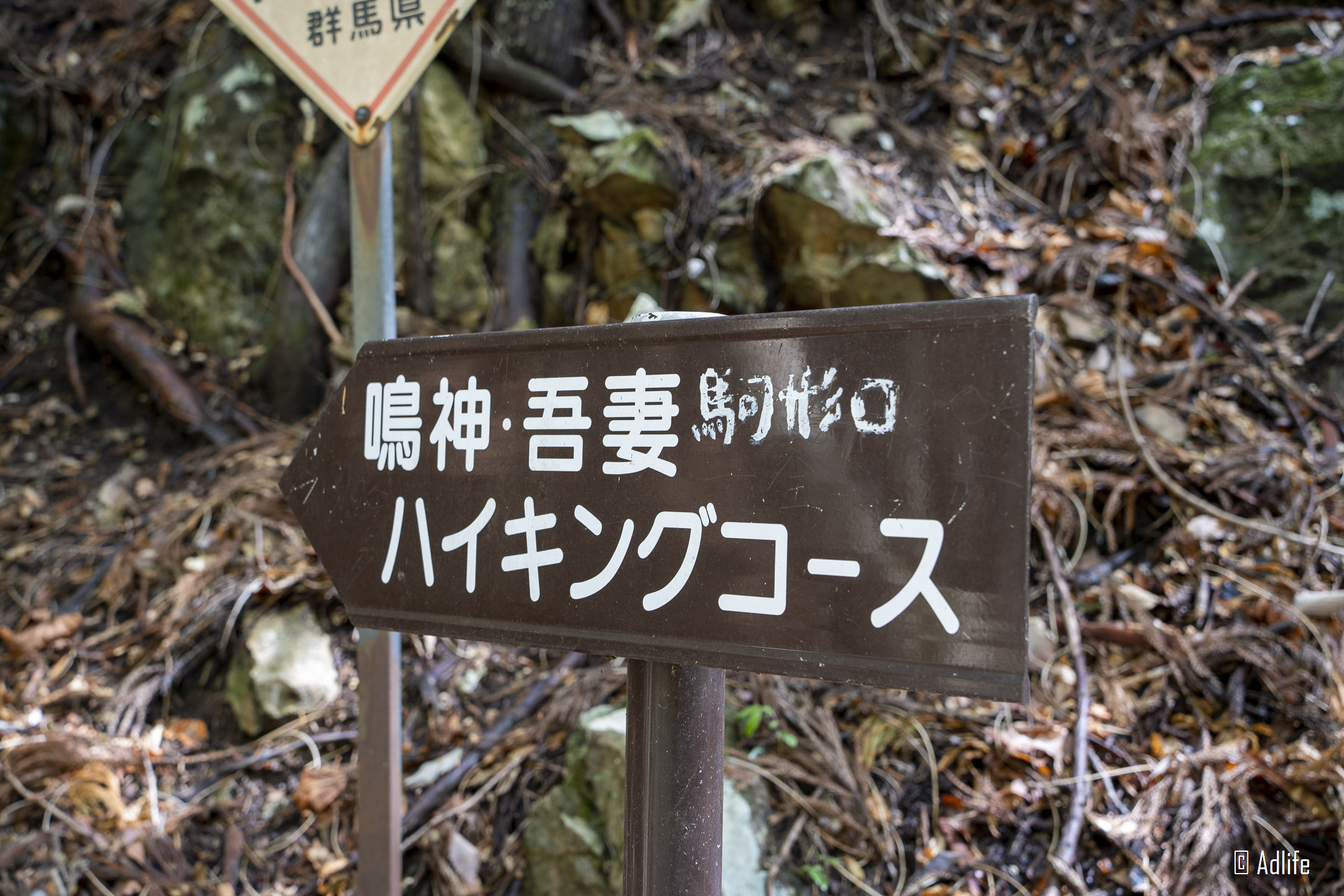 f:id:Adder:20210613100604j:plain