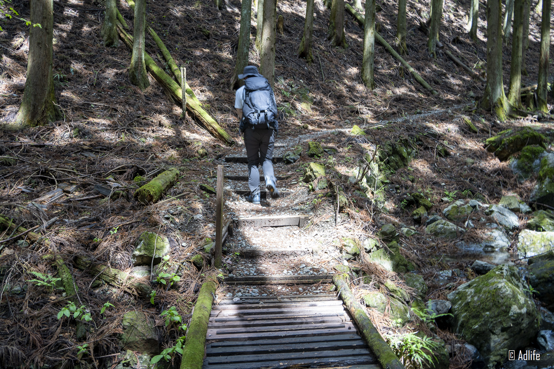 f:id:Adder:20210613100623j:plain