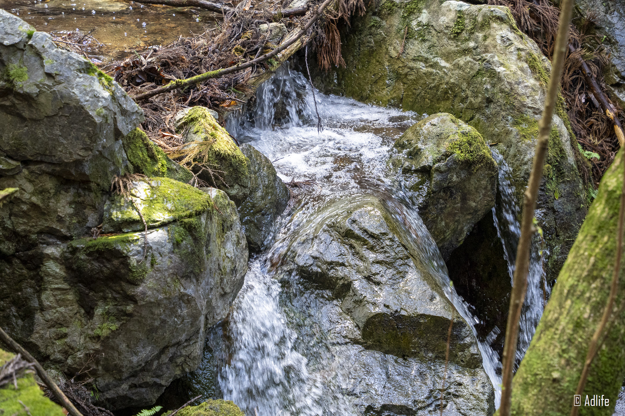 f:id:Adder:20210613100636j:plain