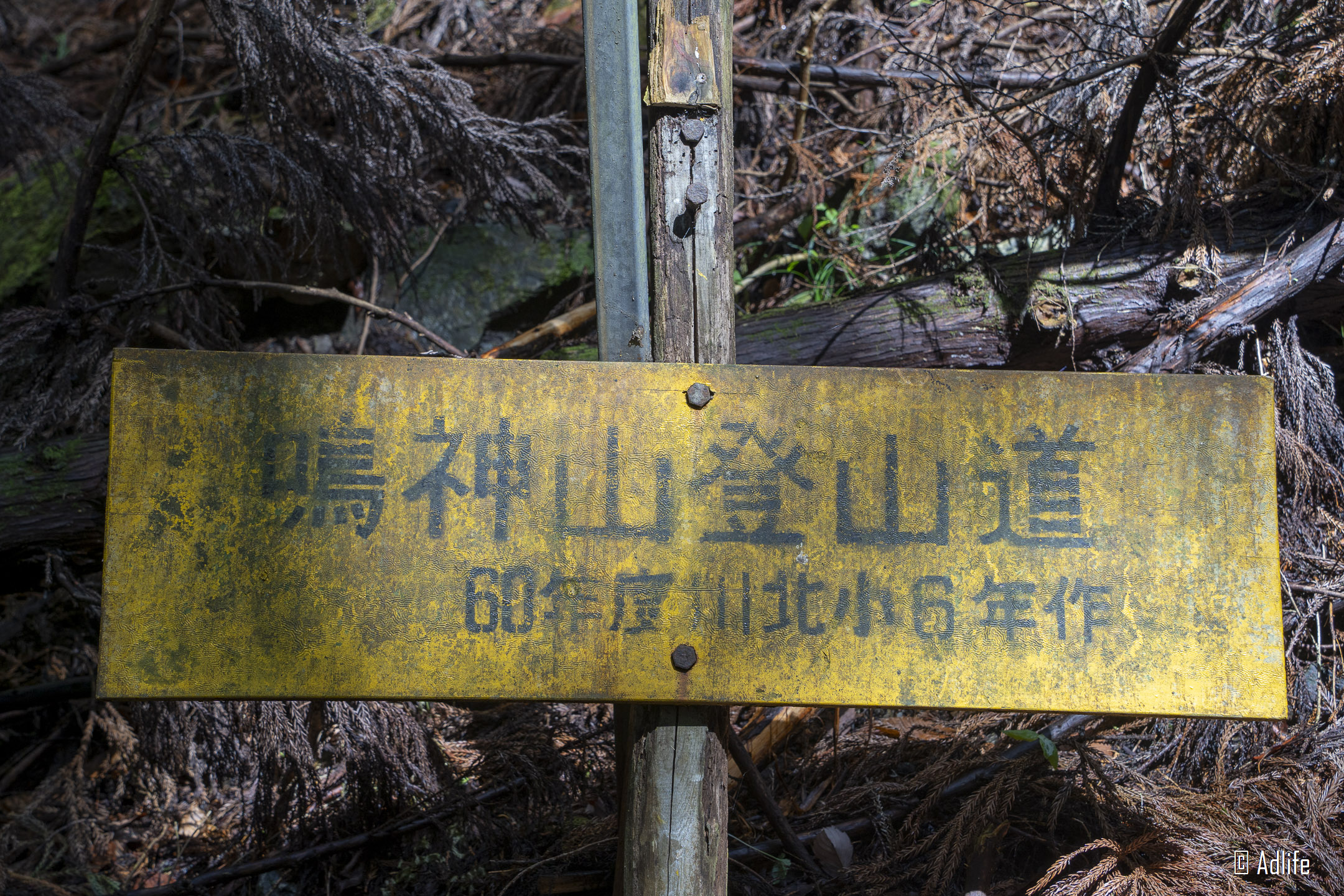 f:id:Adder:20210613100649j:plain