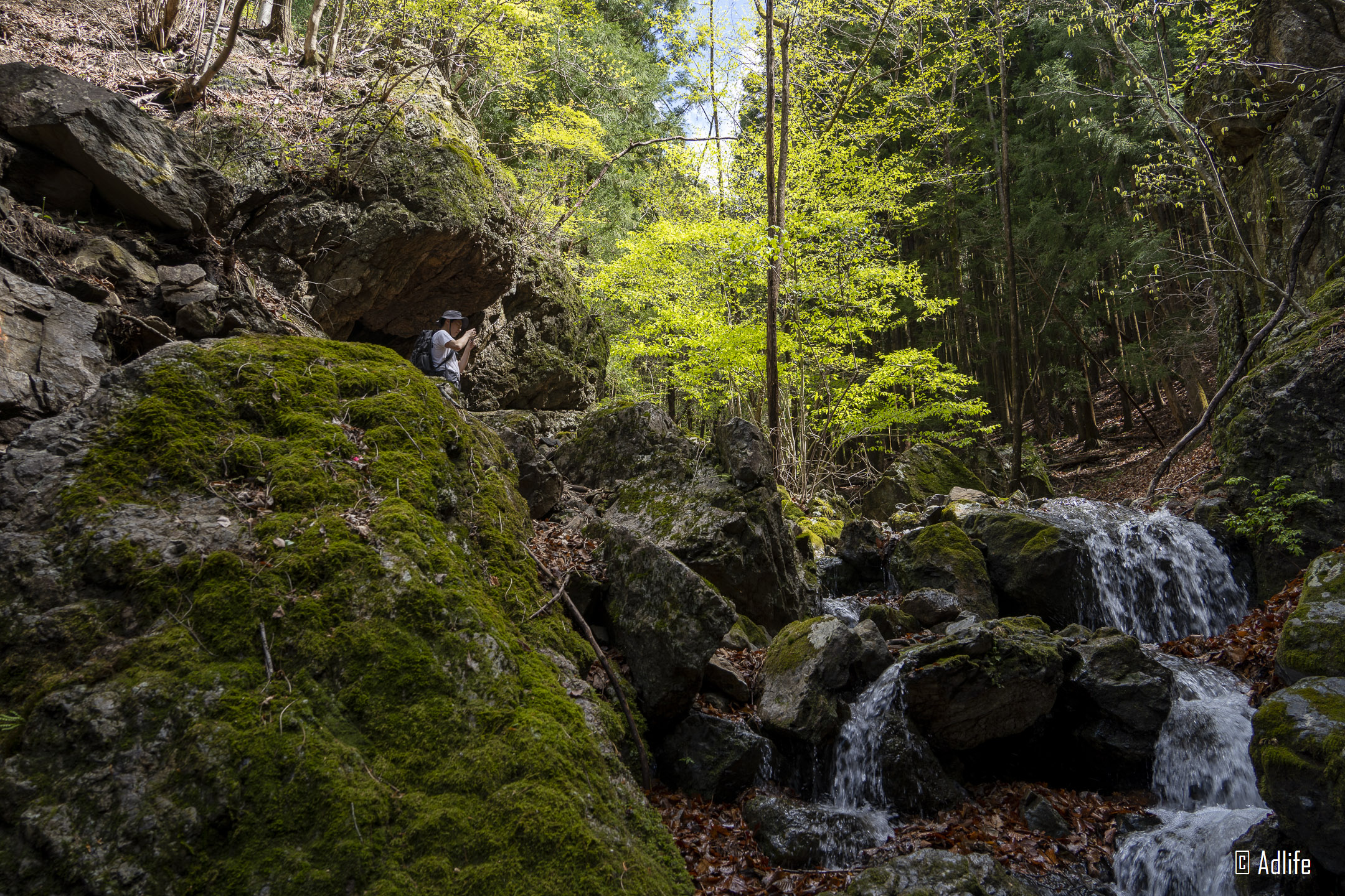 f:id:Adder:20210613100800j:plain