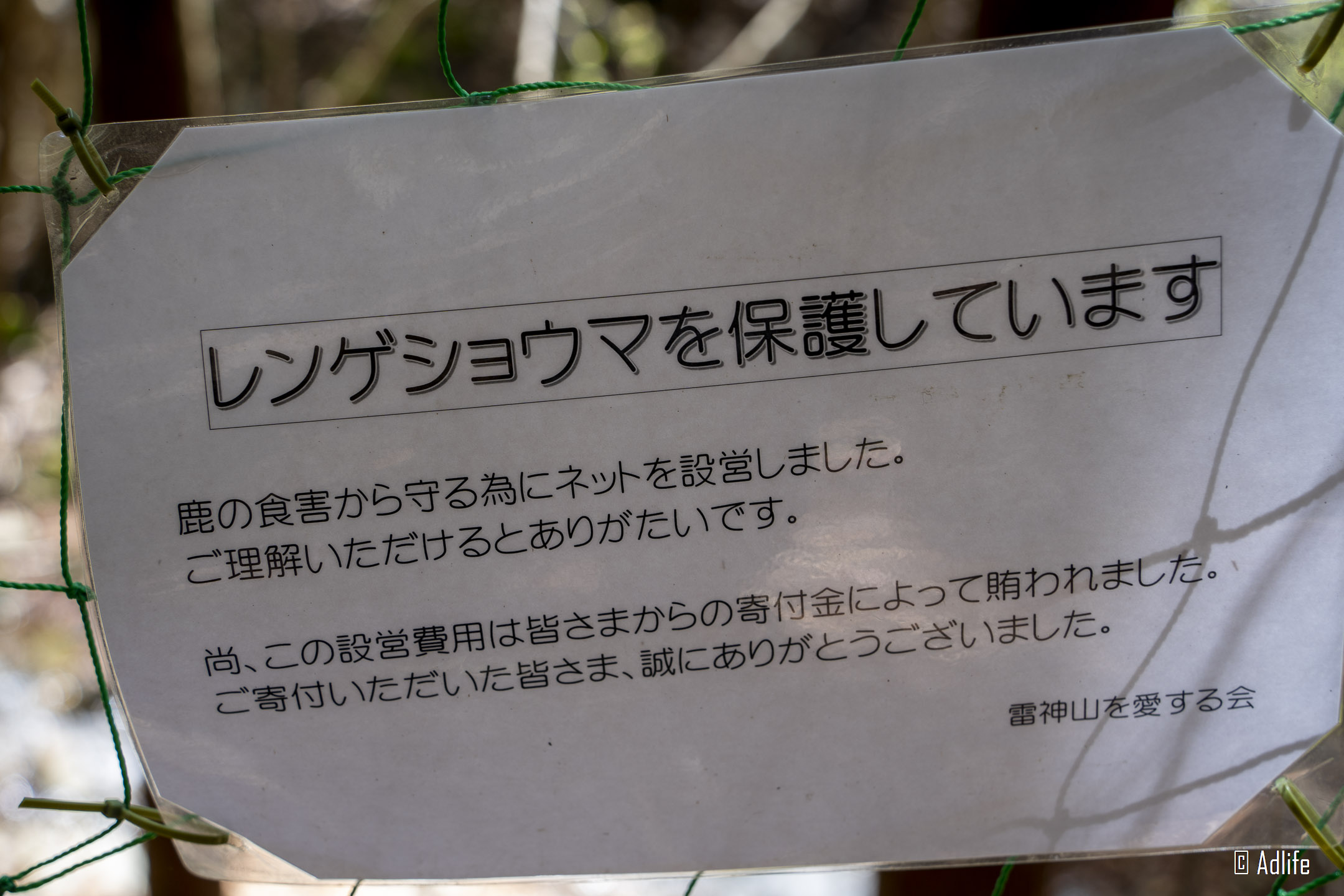 f:id:Adder:20210613100818j:plain