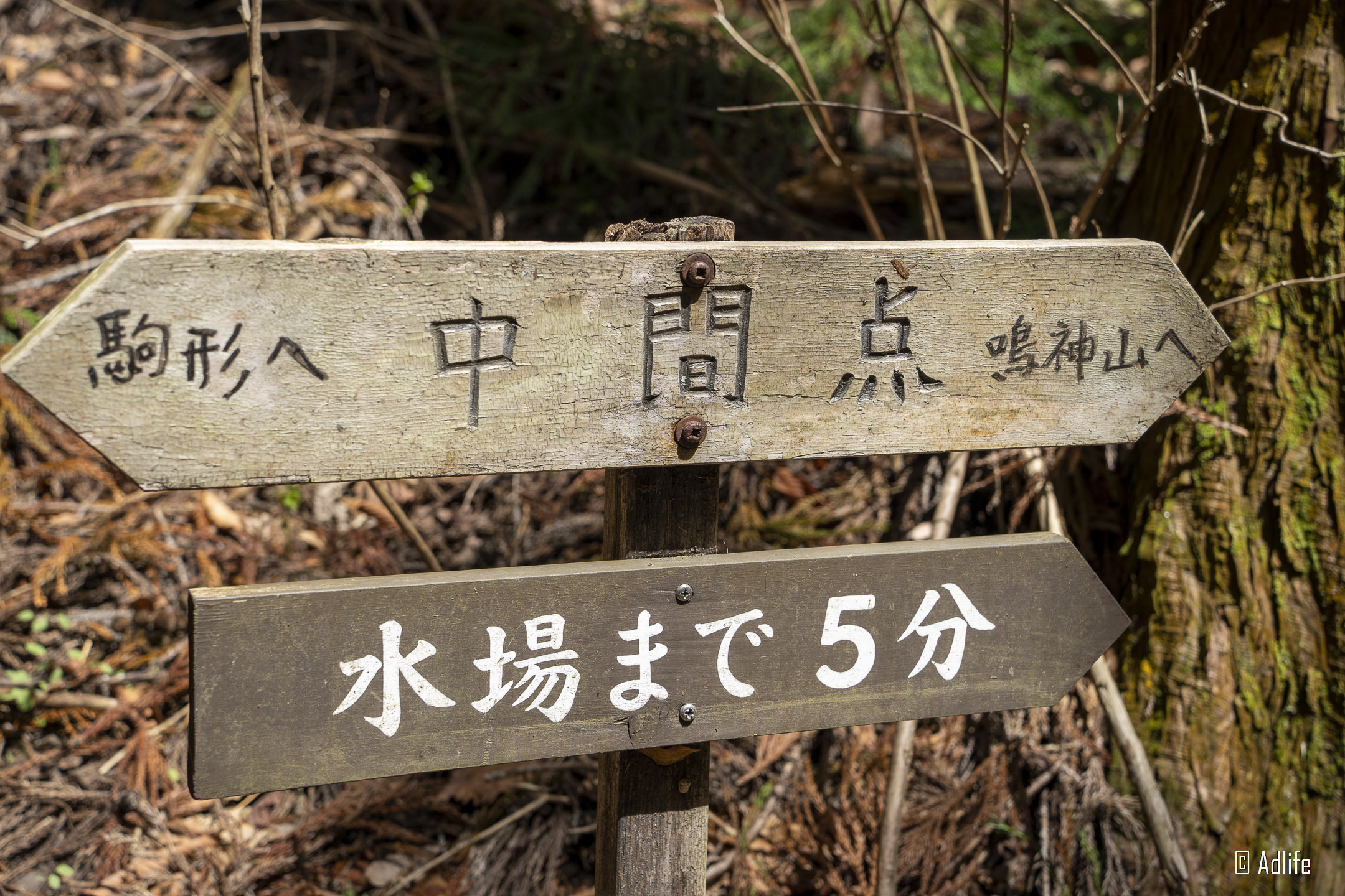 f:id:Adder:20210613100841j:plain