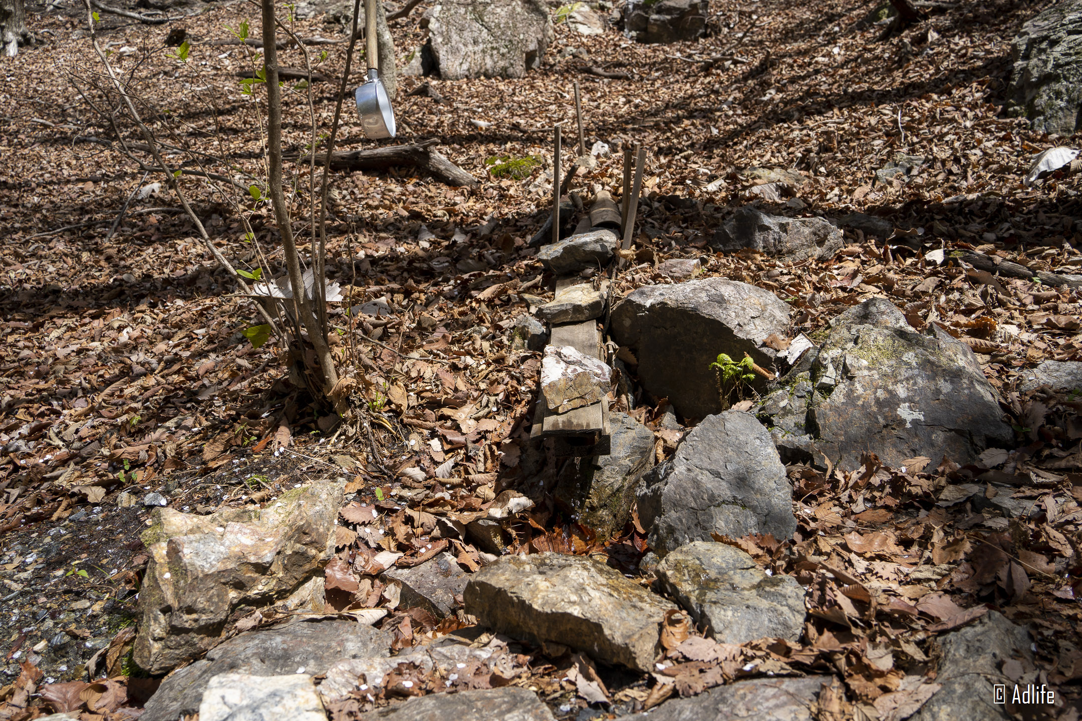 f:id:Adder:20210613100907j:plain