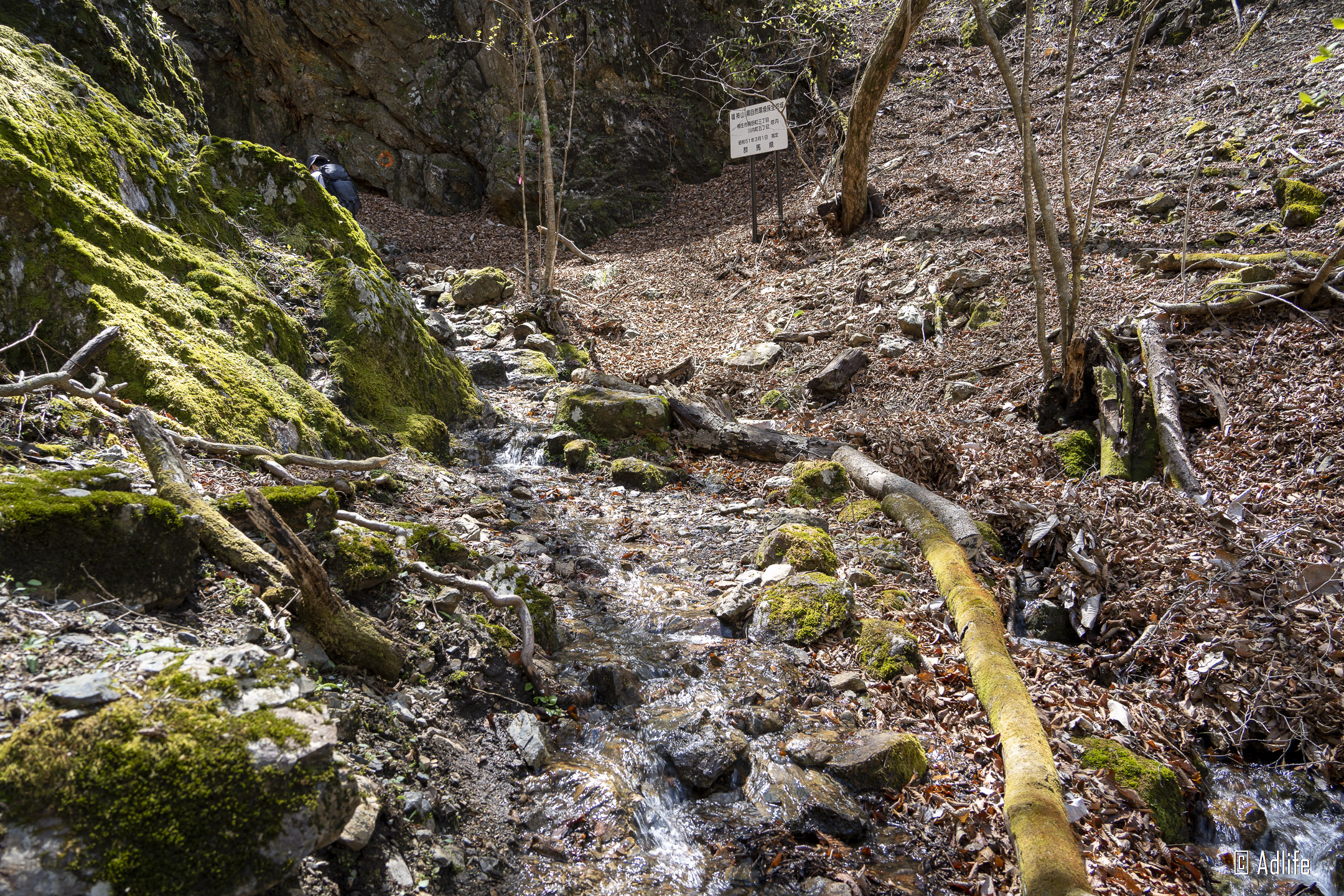 f:id:Adder:20210613100916j:plain