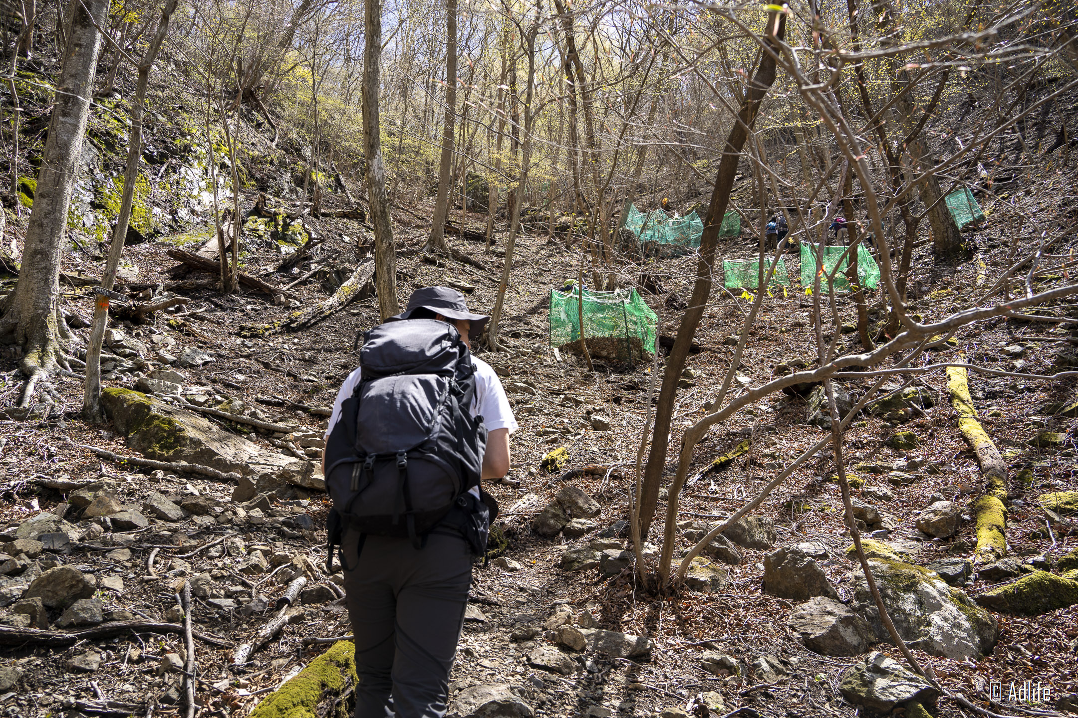 f:id:Adder:20210613101001j:plain