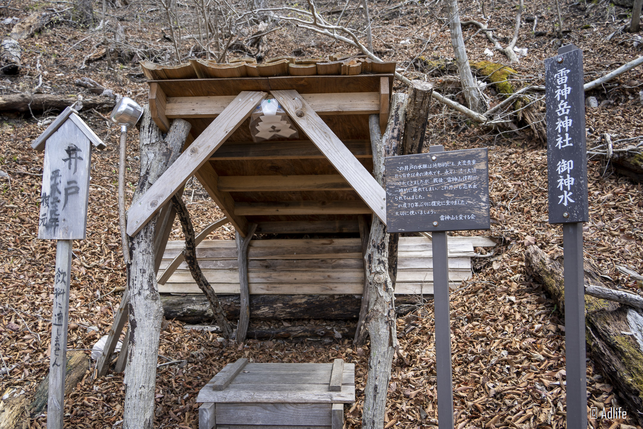 f:id:Adder:20210613101013j:plain