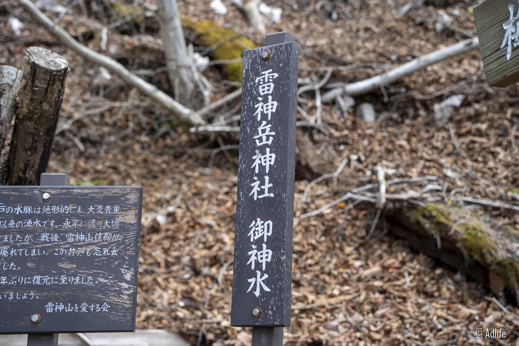 f:id:Adder:20210613101020j:plain