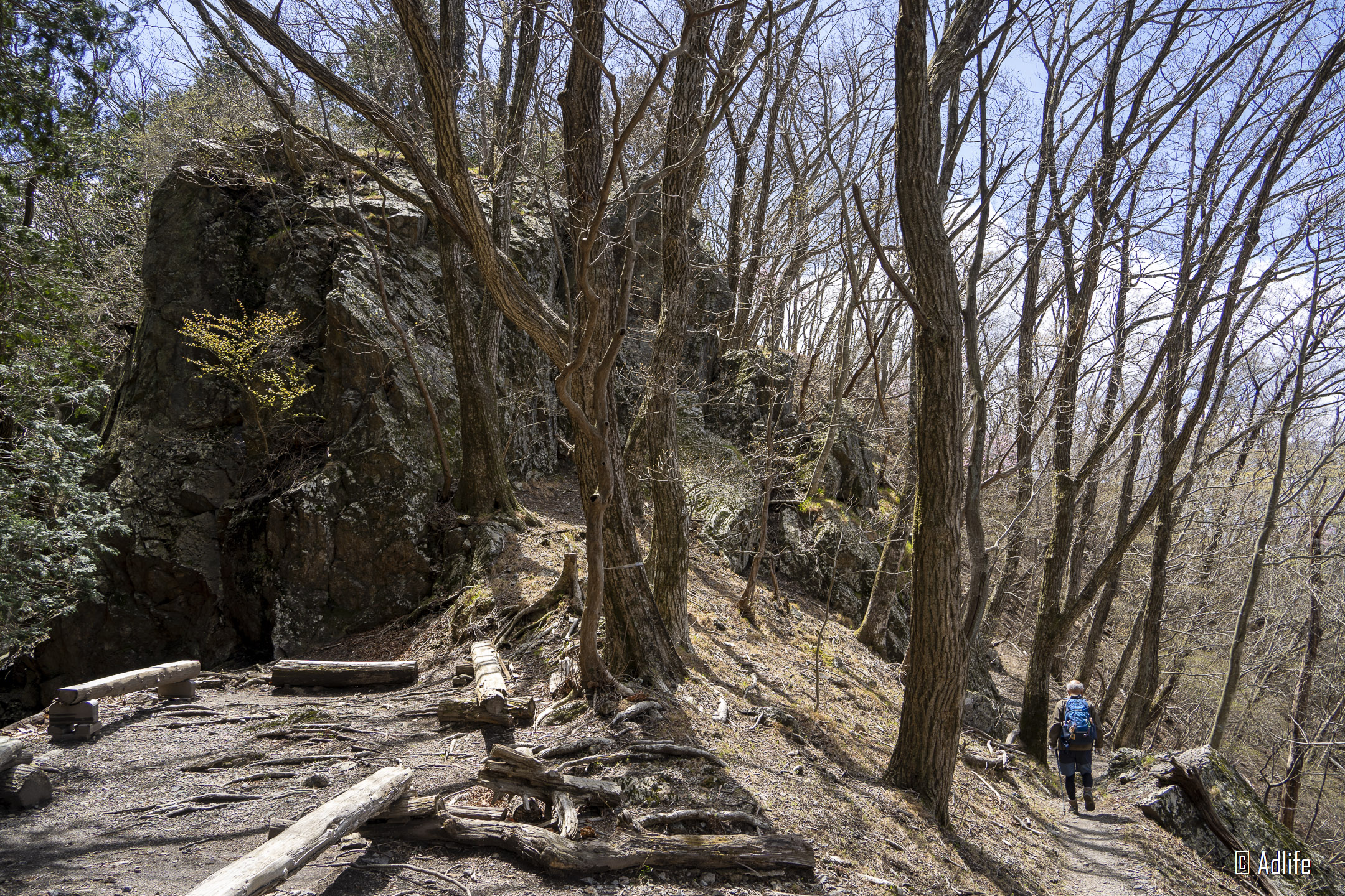 f:id:Adder:20210613101040j:plain