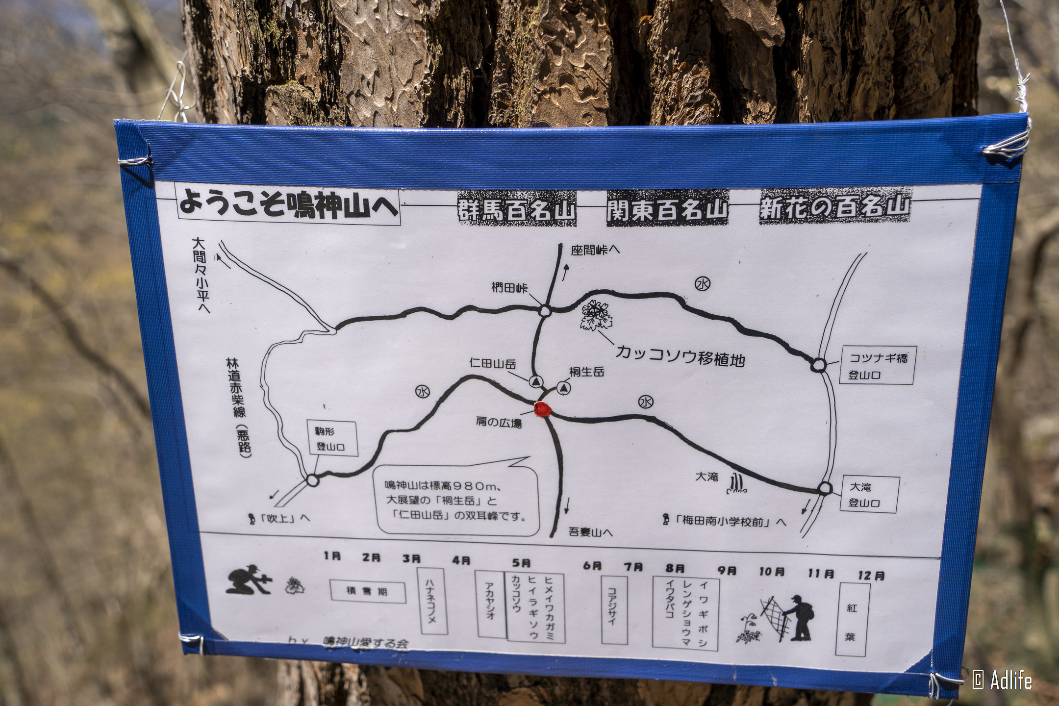 f:id:Adder:20210613101108j:plain