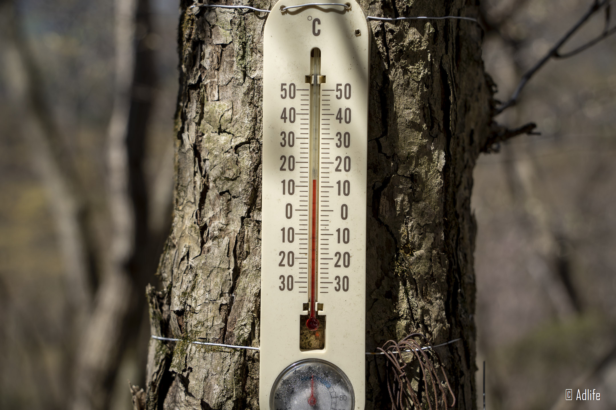 f:id:Adder:20210613101115j:plain