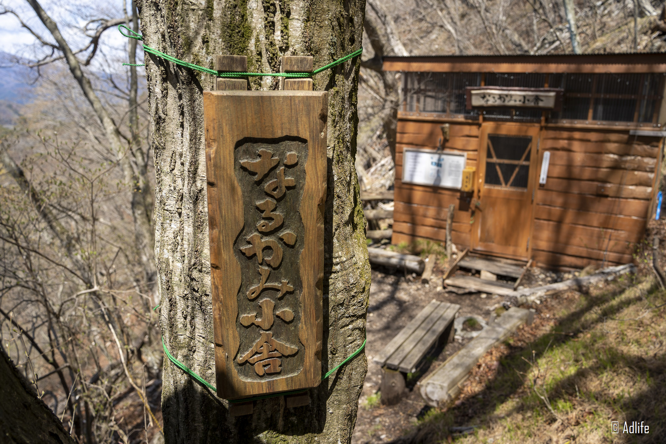 f:id:Adder:20210613101121j:plain