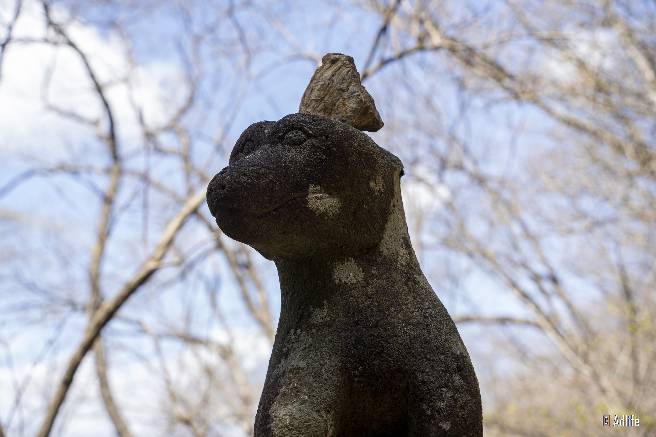 f:id:Adder:20210613101146j:plain