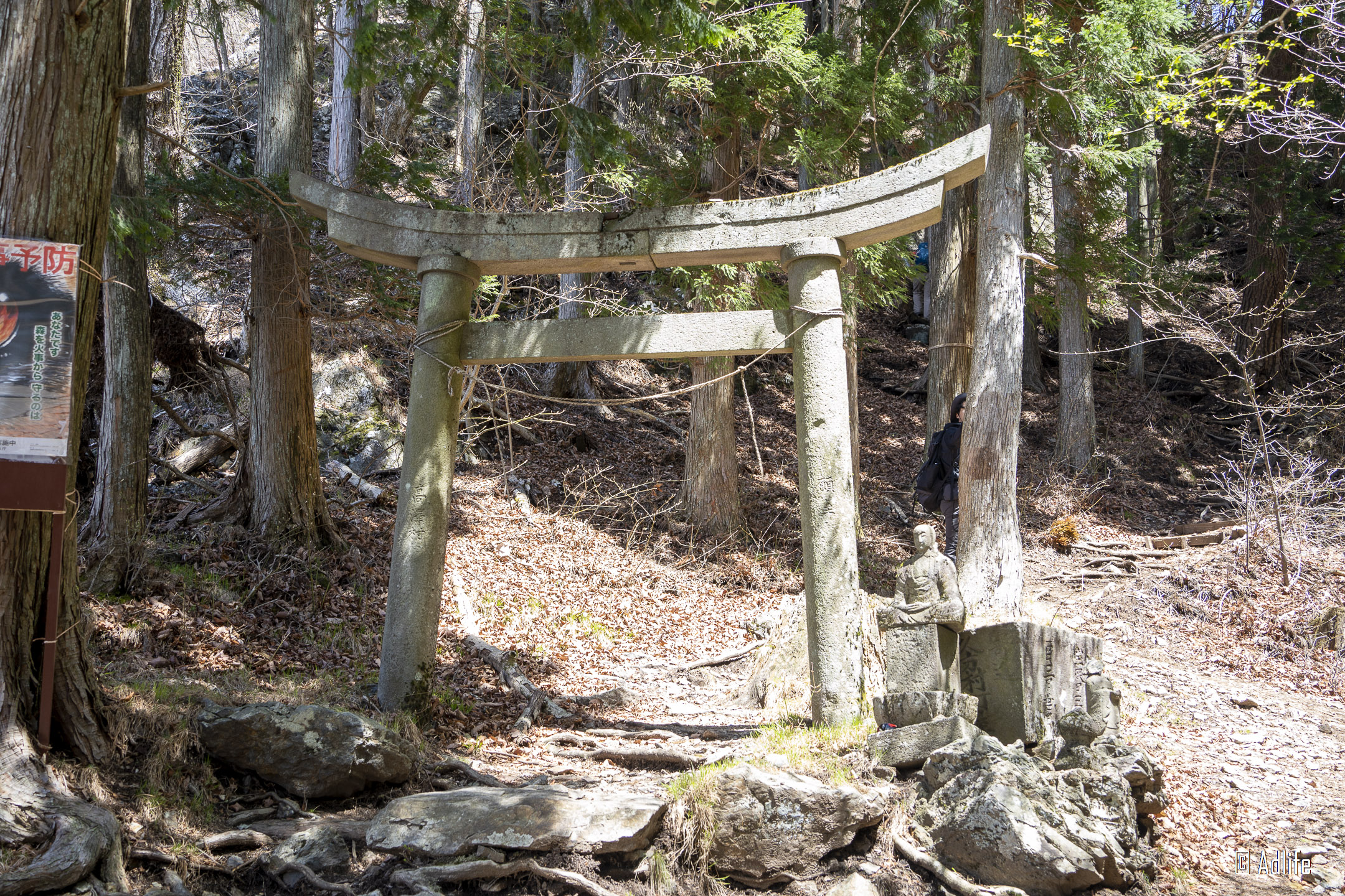 f:id:Adder:20210613101153j:plain