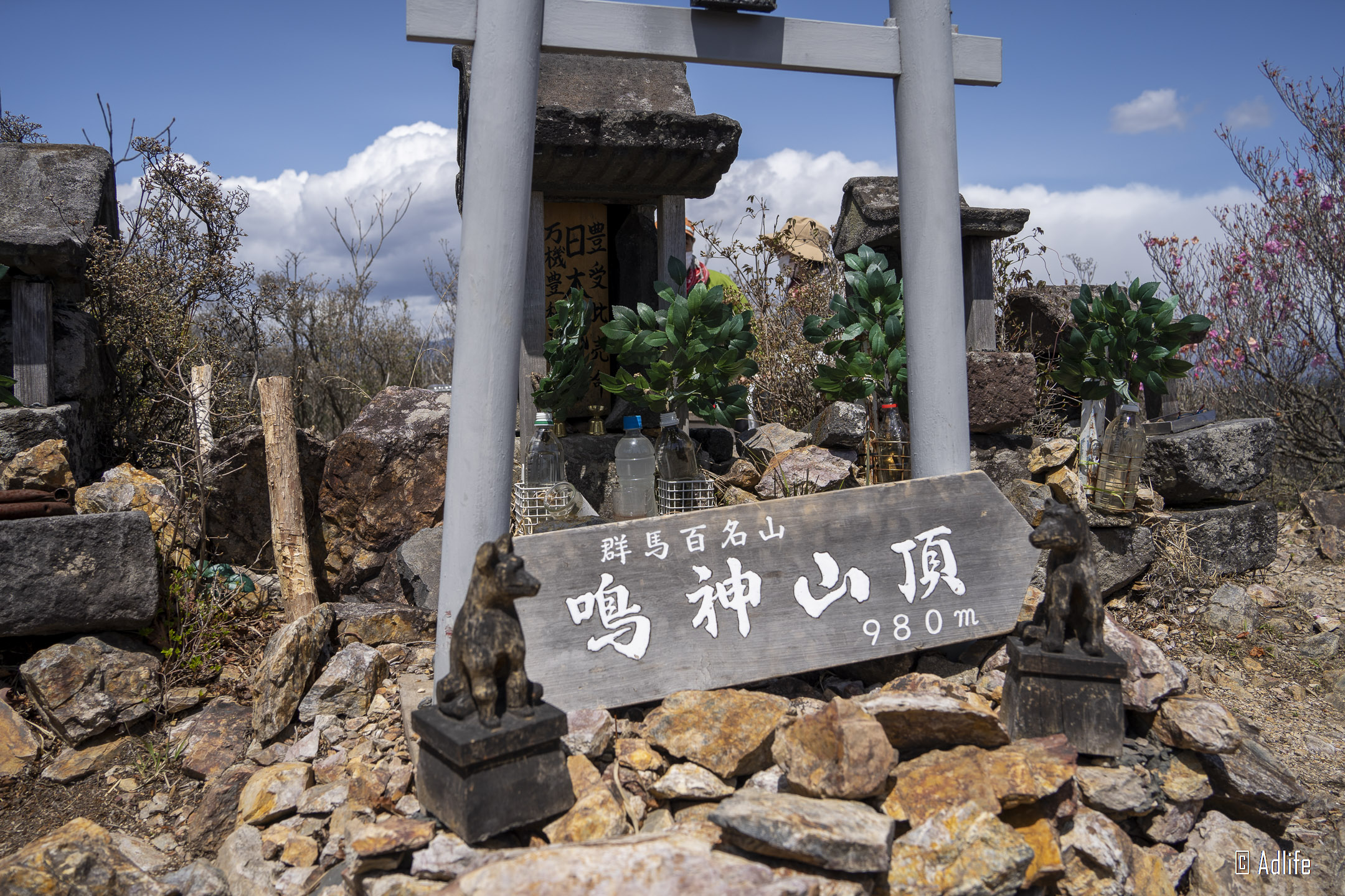 f:id:Adder:20210613101303j:plain