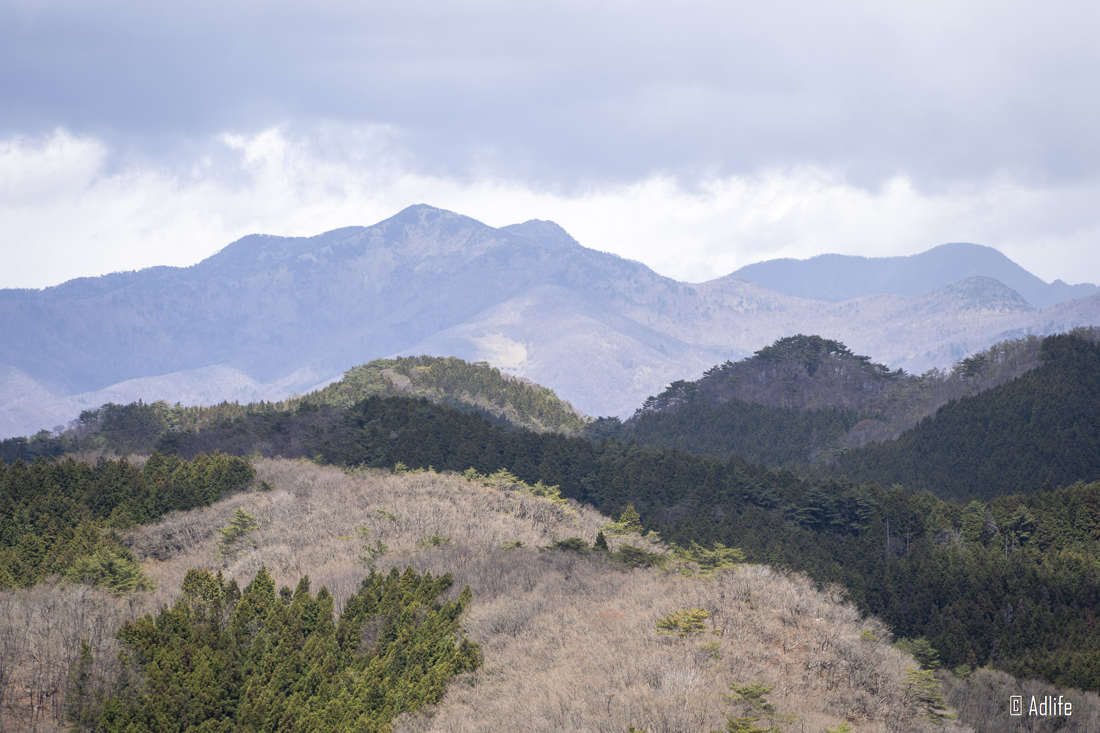 f:id:Adder:20210613101333j:plain