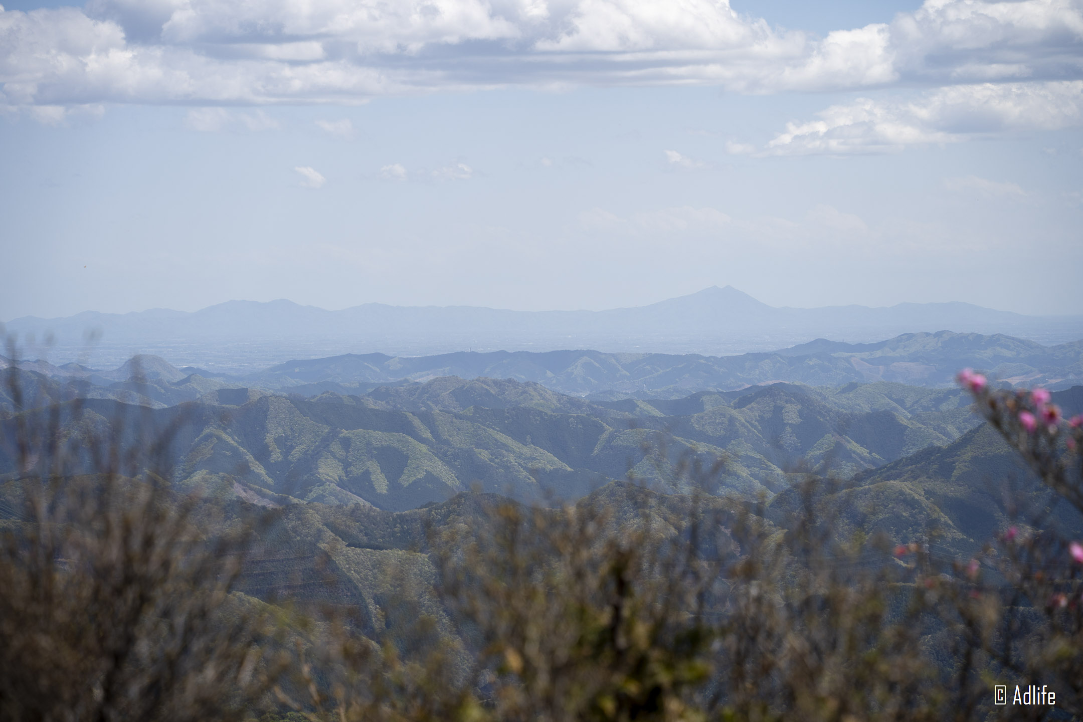 f:id:Adder:20210613101405j:plain