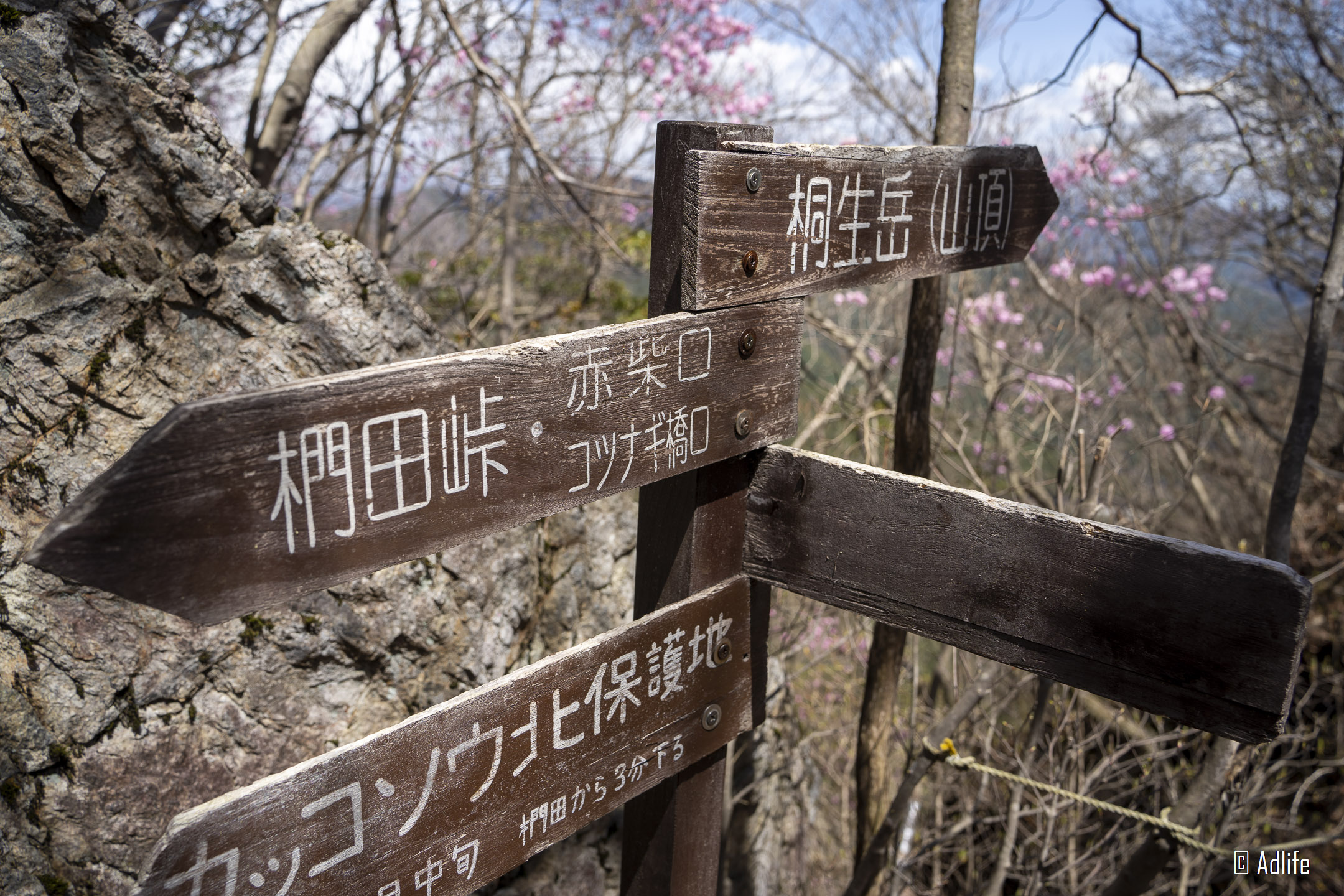 f:id:Adder:20210613101500j:plain