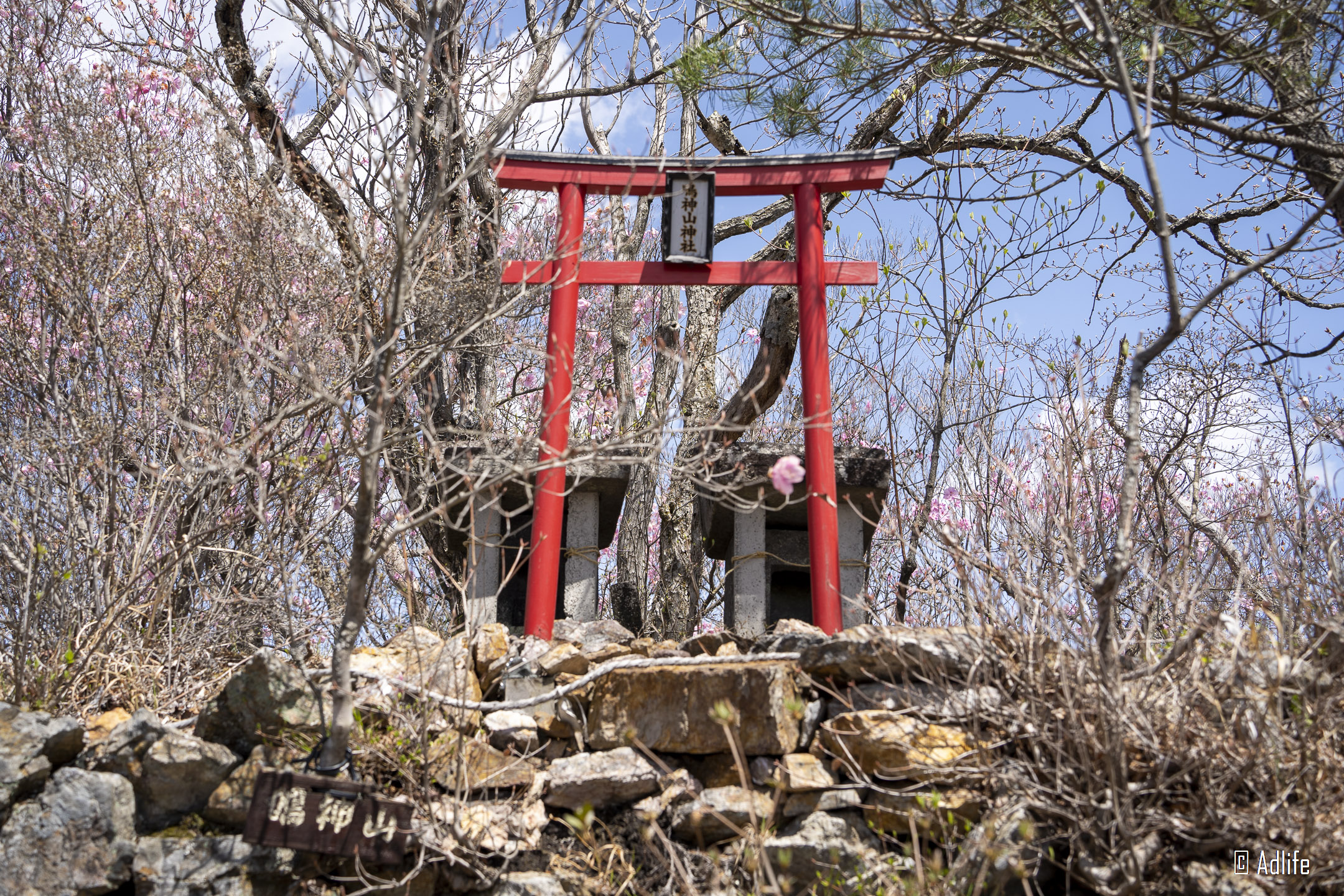 f:id:Adder:20210613101619j:plain