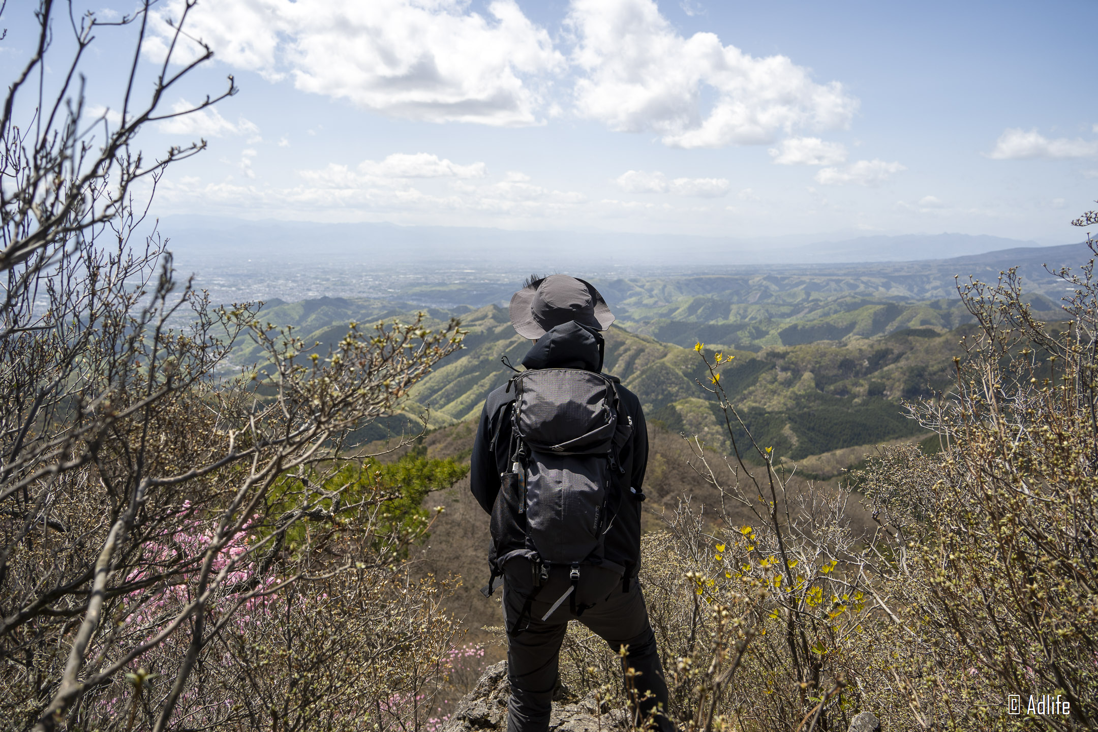 f:id:Adder:20210613101625j:plain