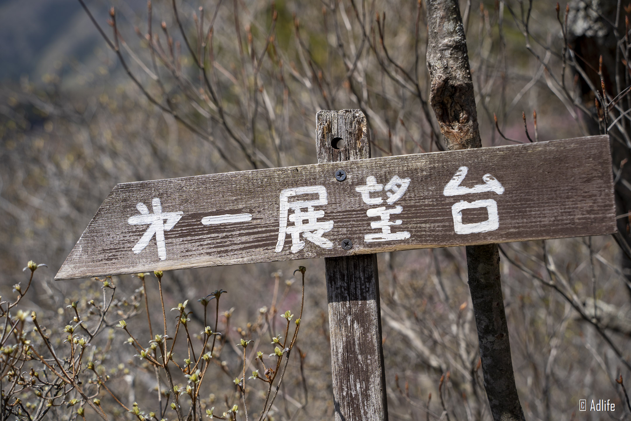 f:id:Adder:20210613101637j:plain