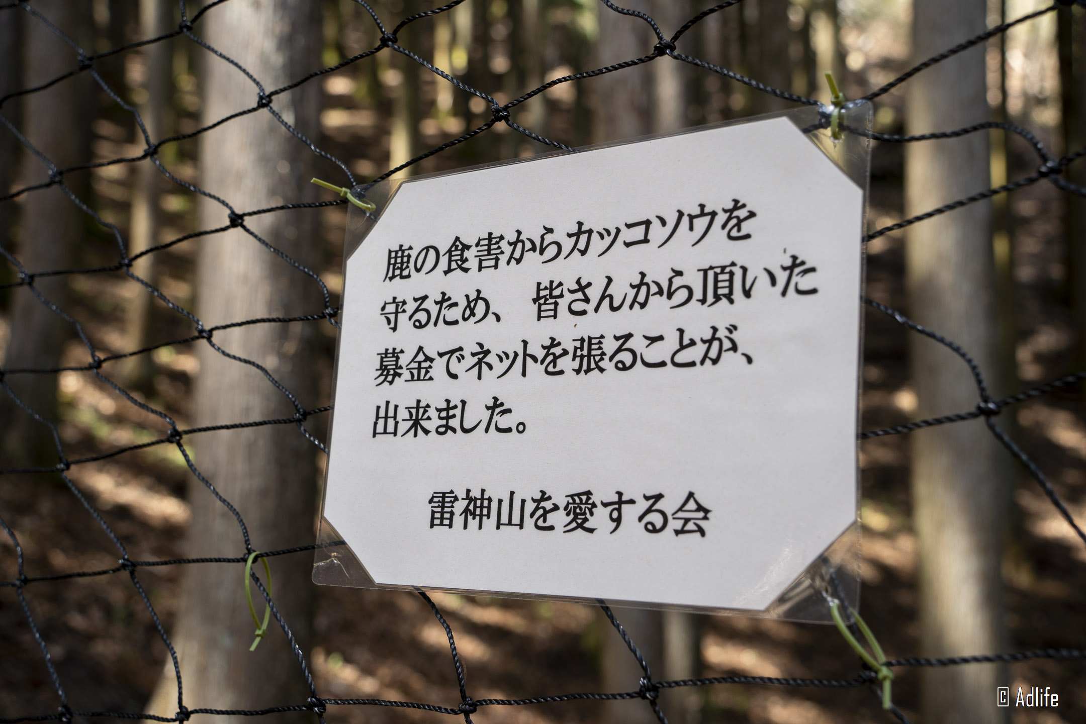 f:id:Adder:20210613101813j:plain