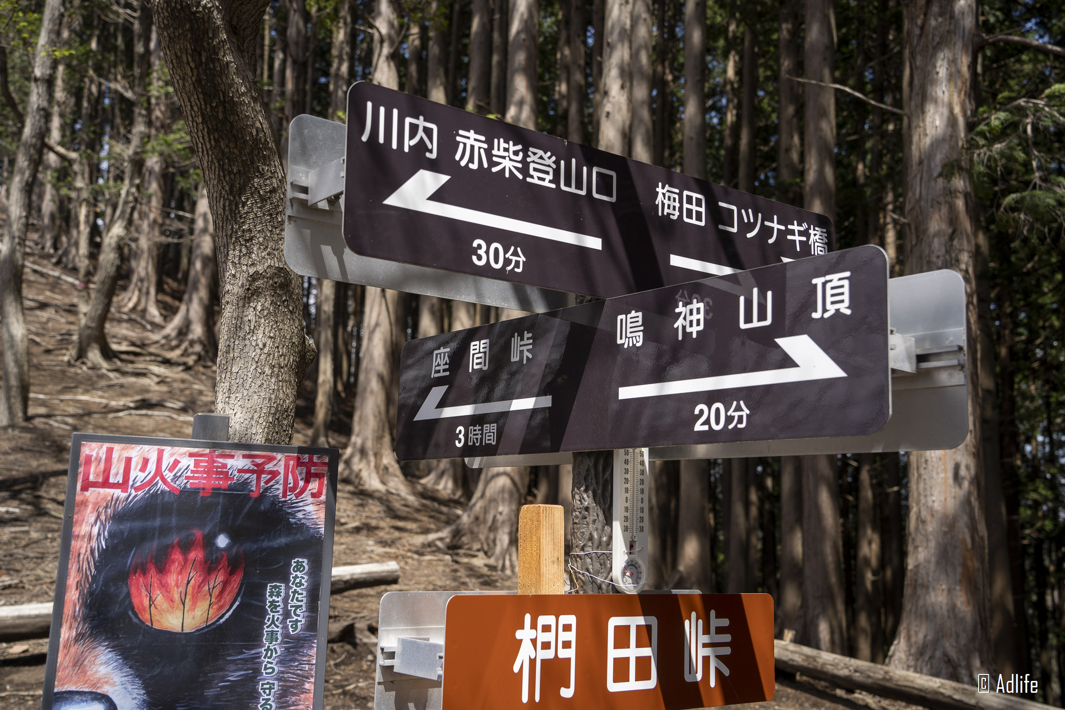 f:id:Adder:20210613101845j:plain