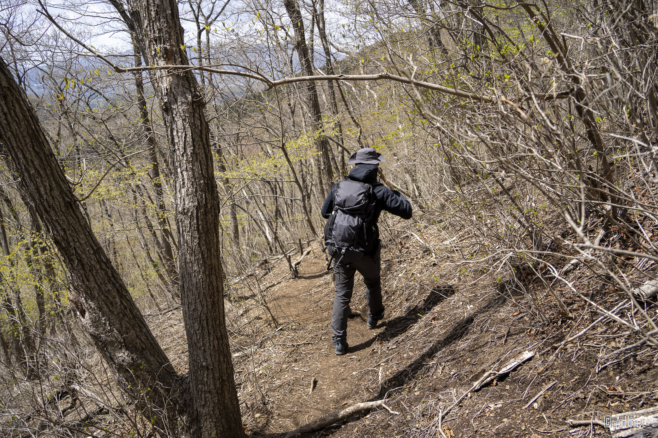 f:id:Adder:20210613101852j:plain