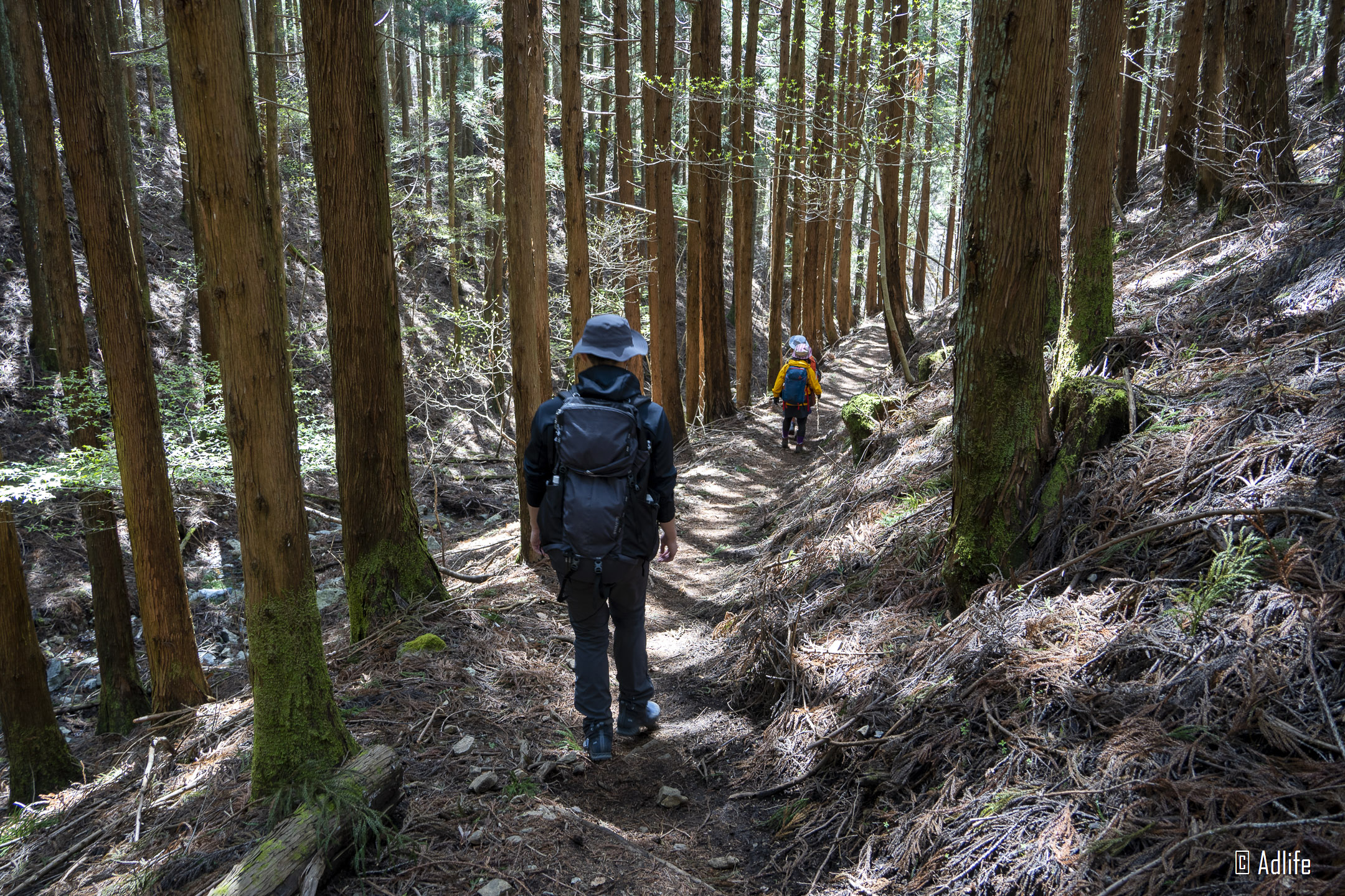 f:id:Adder:20210613101912j:plain