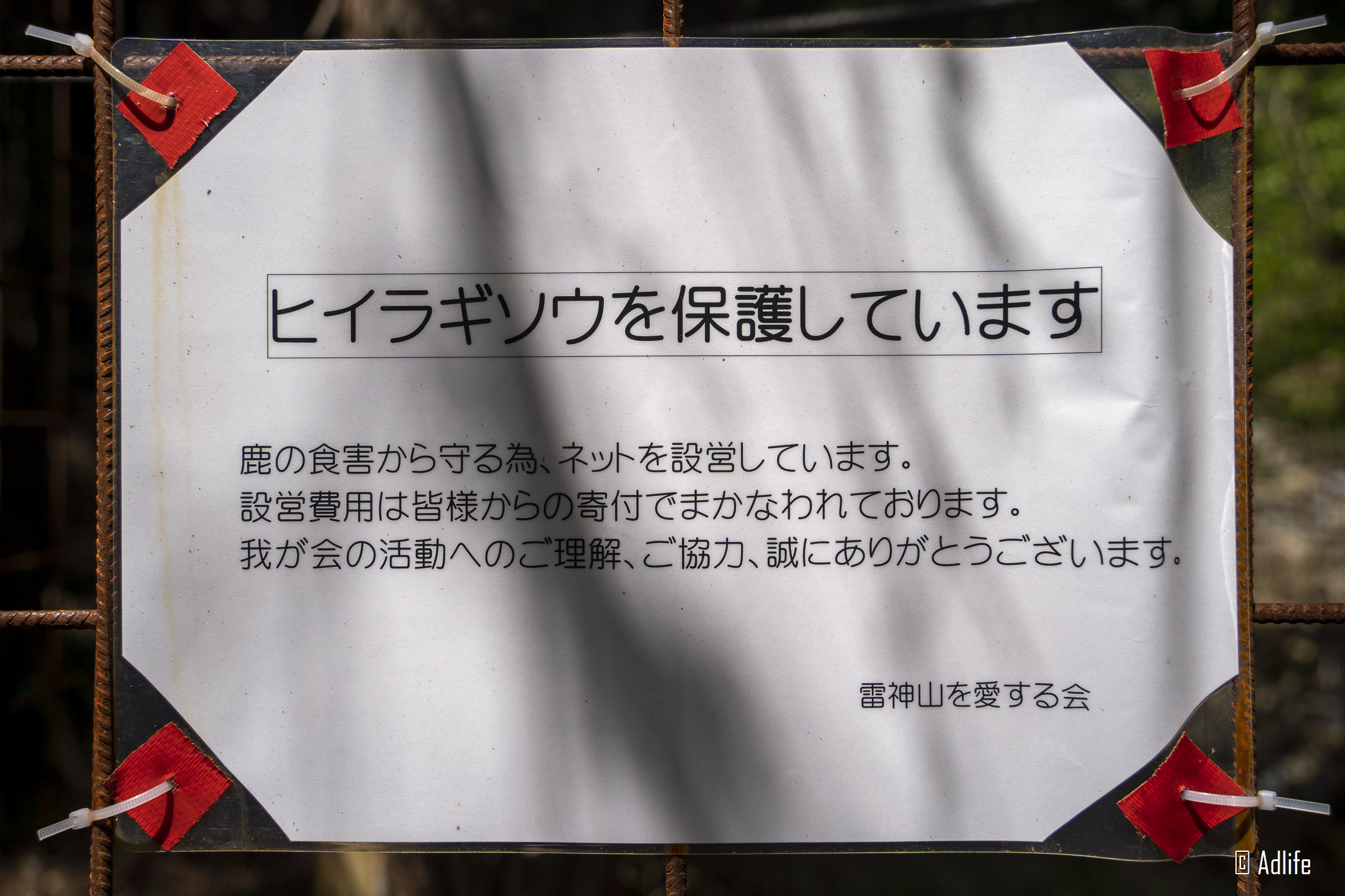 f:id:Adder:20210613101954j:plain