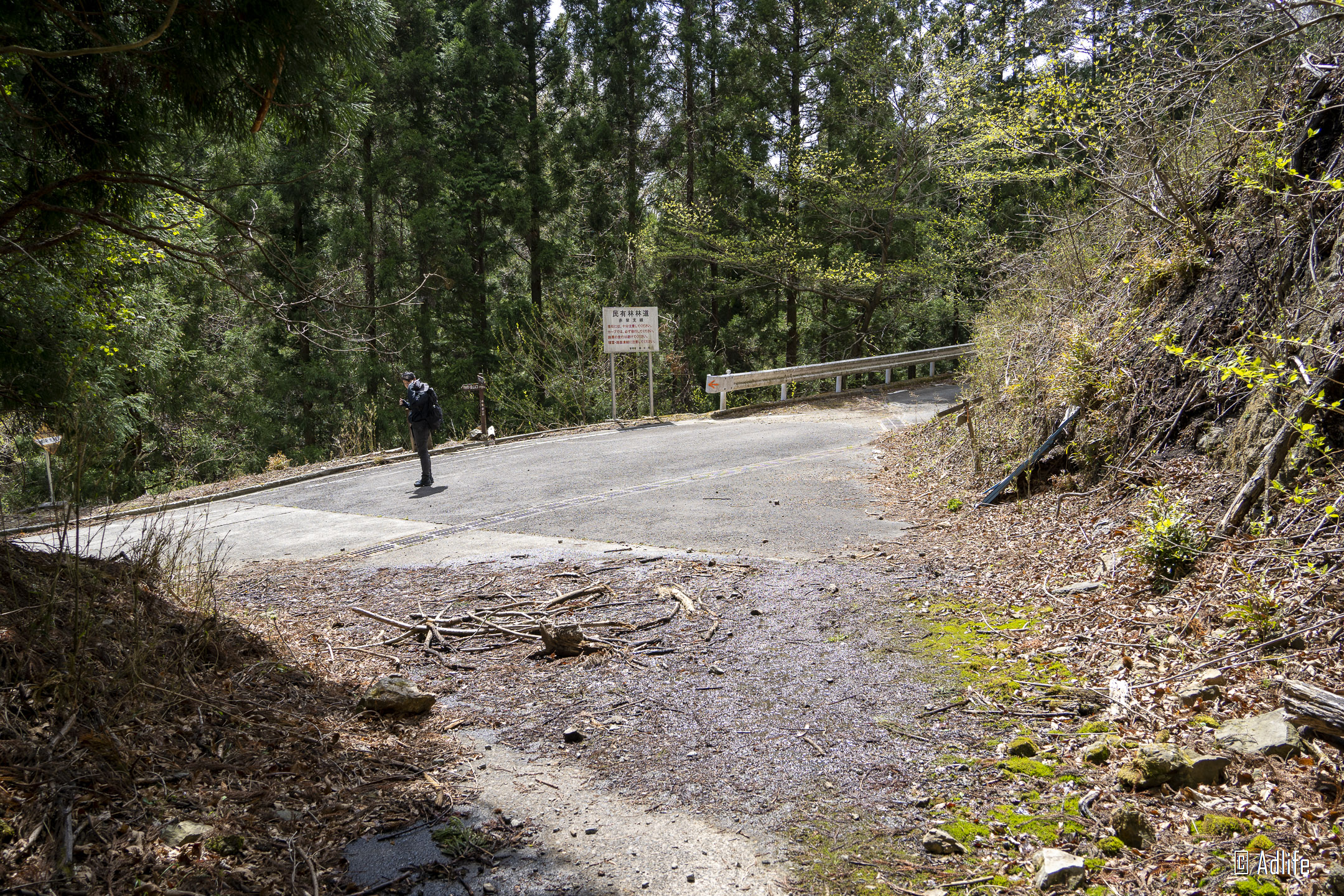 f:id:Adder:20210613102016j:plain