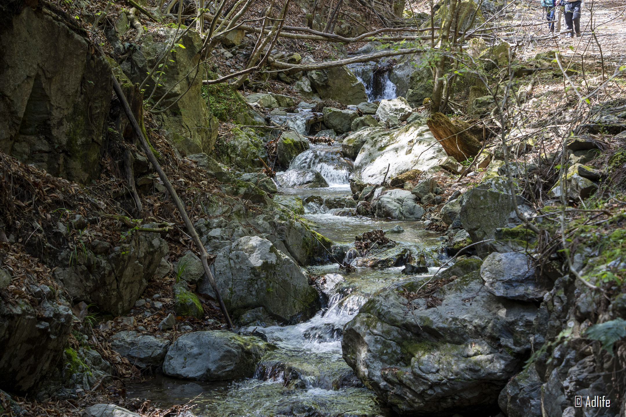 f:id:Adder:20210613102118j:plain