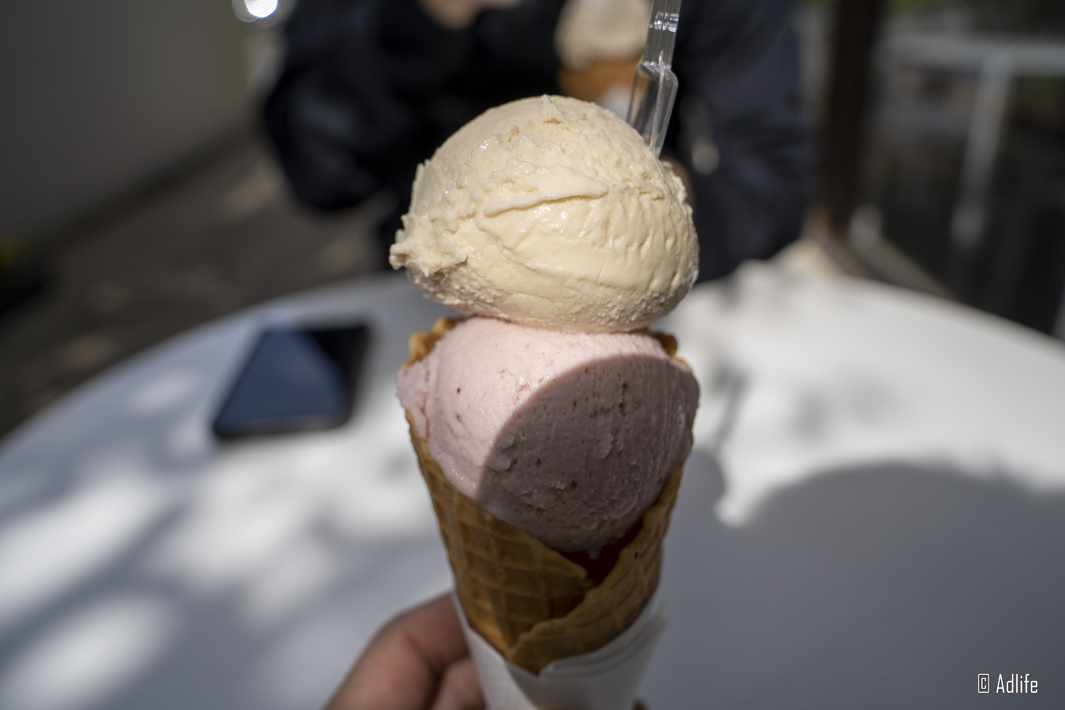 f:id:Adder:20210613102200j:plain