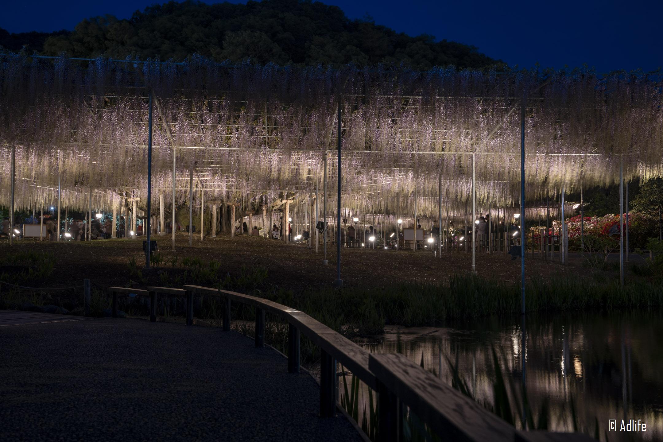 f:id:Adder:20210613102350j:plain