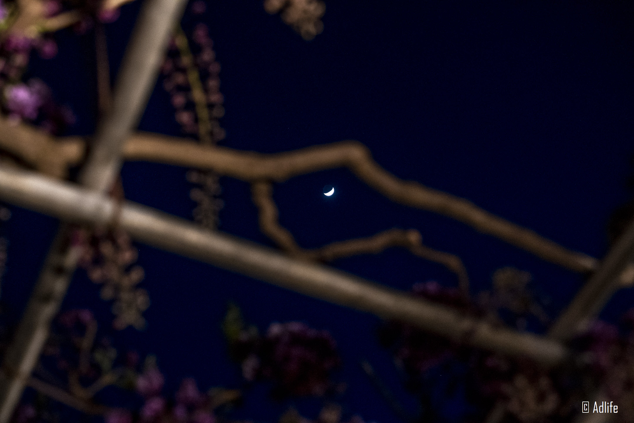 f:id:Adder:20210613102356j:plain