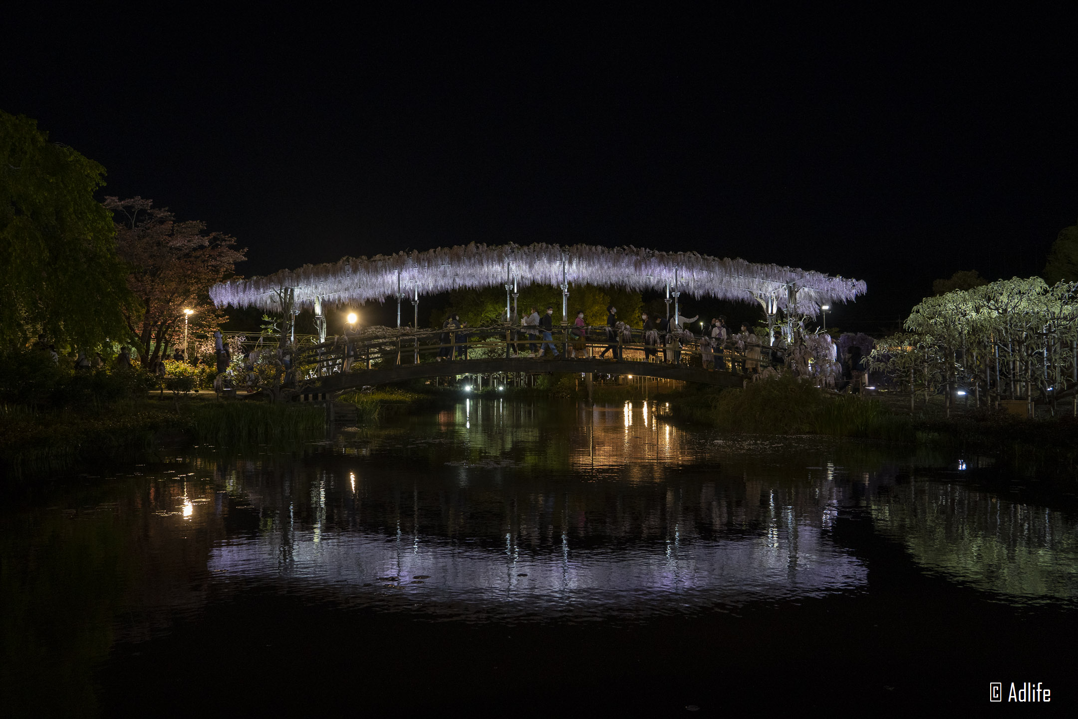 f:id:Adder:20210613102442j:plain