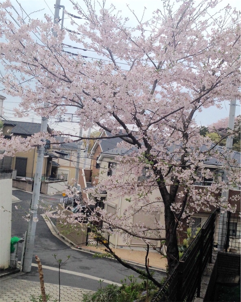 f:id:AdonaiQuoVadis:20170610030213j:image