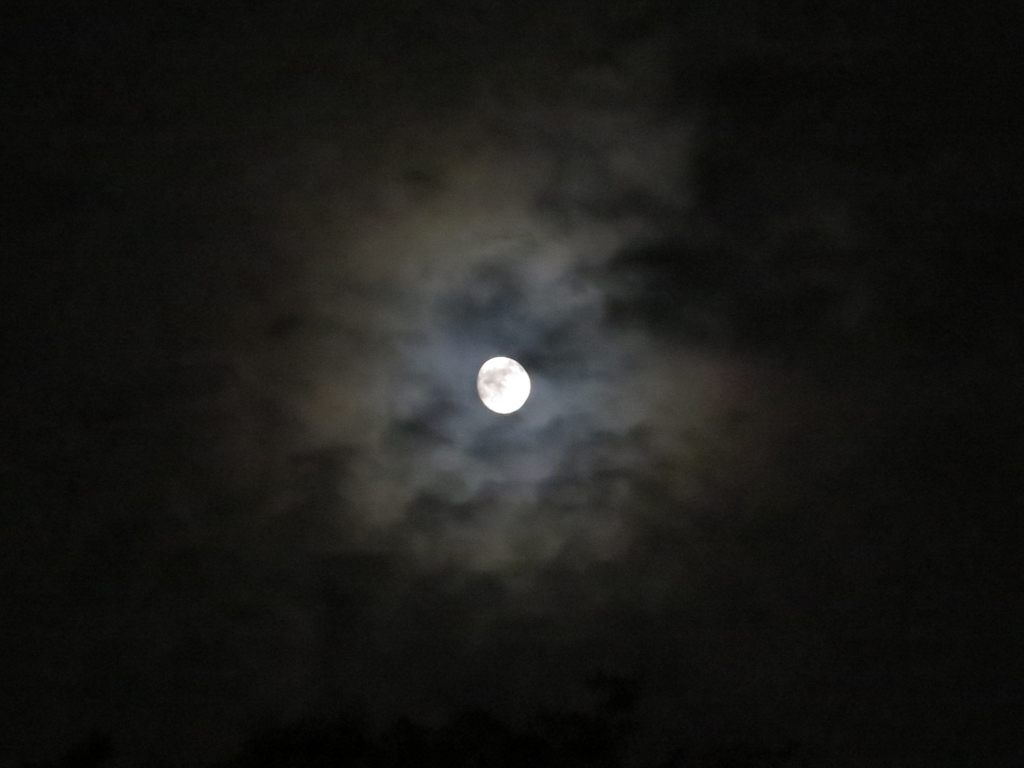 f:id:AdonaiQuoVadis:20171003210249j:plain f:id:AdonaiQuoVadis:20171003210249j:plain