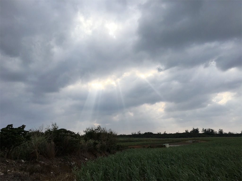 f:id:AdonaiQuoVadis:20171225173304j:image