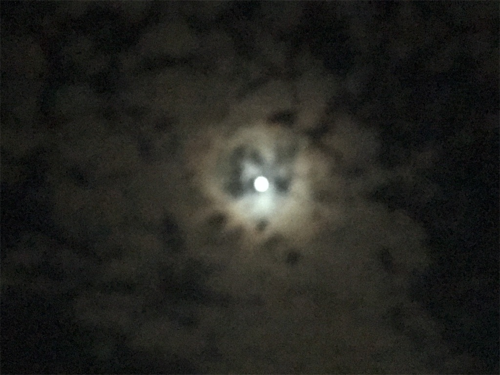 f:id:AdonaiQuoVadis:20180428002042j:image