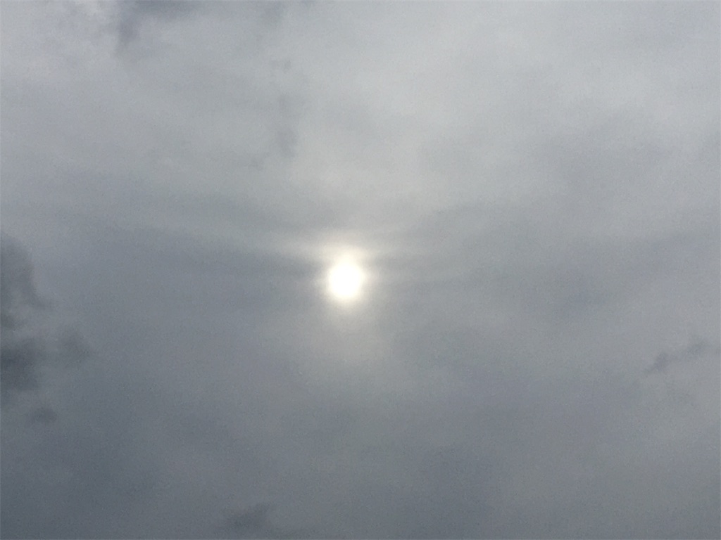 f:id:AdonaiQuoVadis:20190614222046j:image
