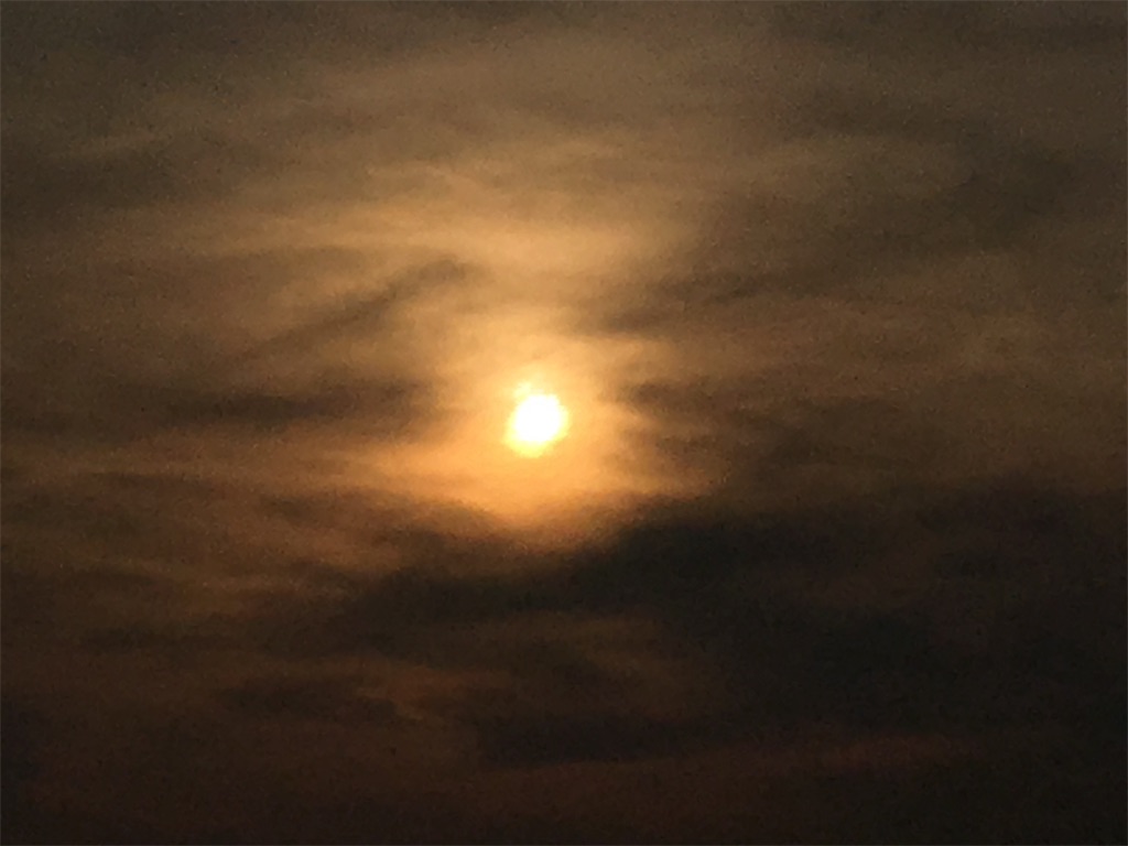 f:id:AdonaiQuoVadis:20190626221032j:image