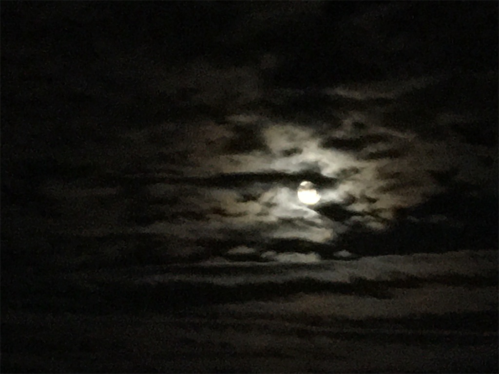 f:id:AdonaiQuoVadis:20191014032003j:image f:id:AdonaiQuoVadis:20191014032003j:image