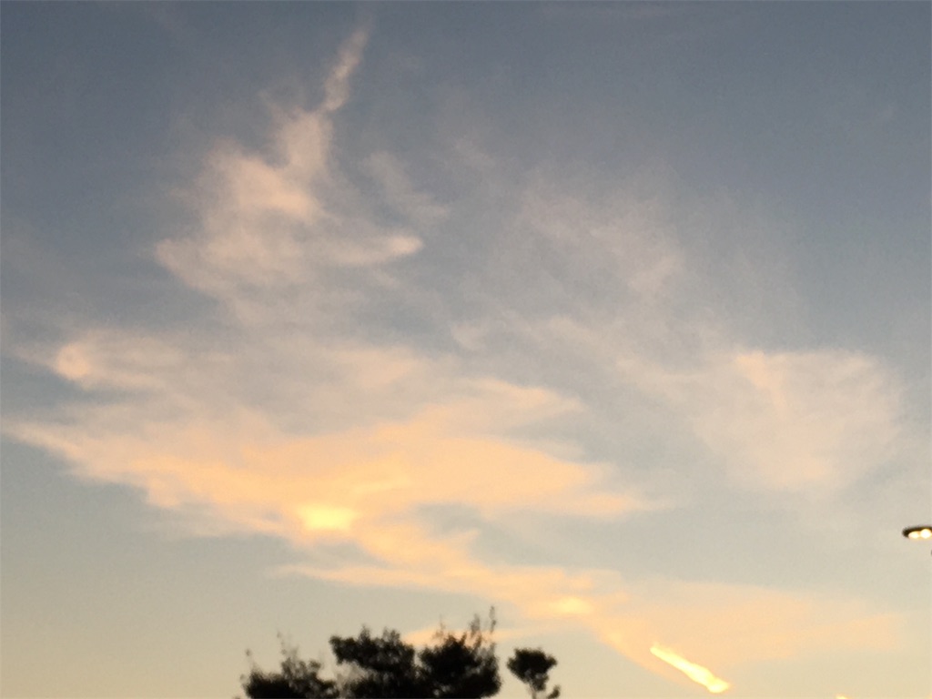 f:id:AdonaiQuoVadis:20191118001532j:image f:id:AdonaiQuoVadis:20191118001532j:image