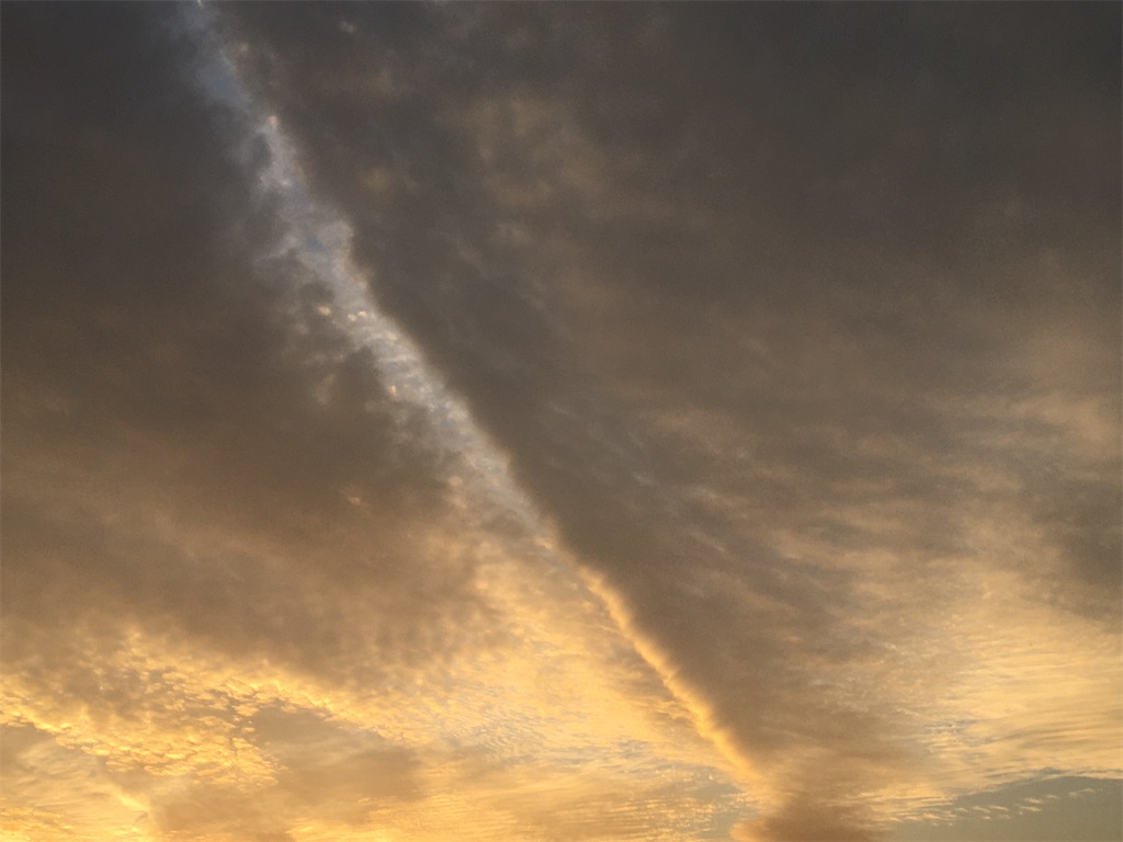 f:id:AdonaiQuoVadis:20201106165934j:image f:id:AdonaiQuoVadis:20201106165934j:image