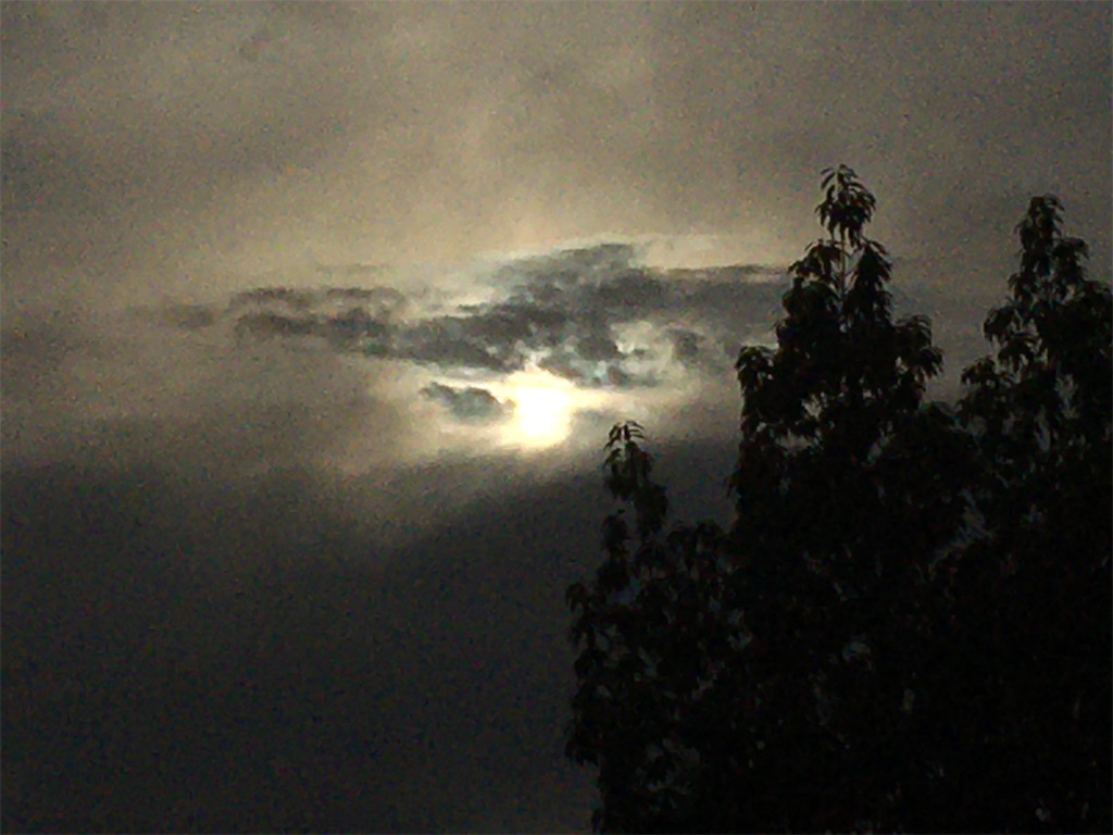 f:id:AdonaiQuoVadis:20210520051626j:image f:id:AdonaiQuoVadis:20210520051626j:image